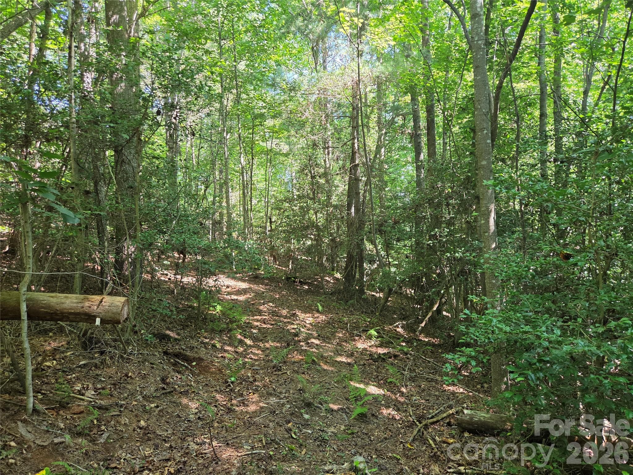 Acreage at 700 Nelson Lane, Millers Creek, photo 22 of 47