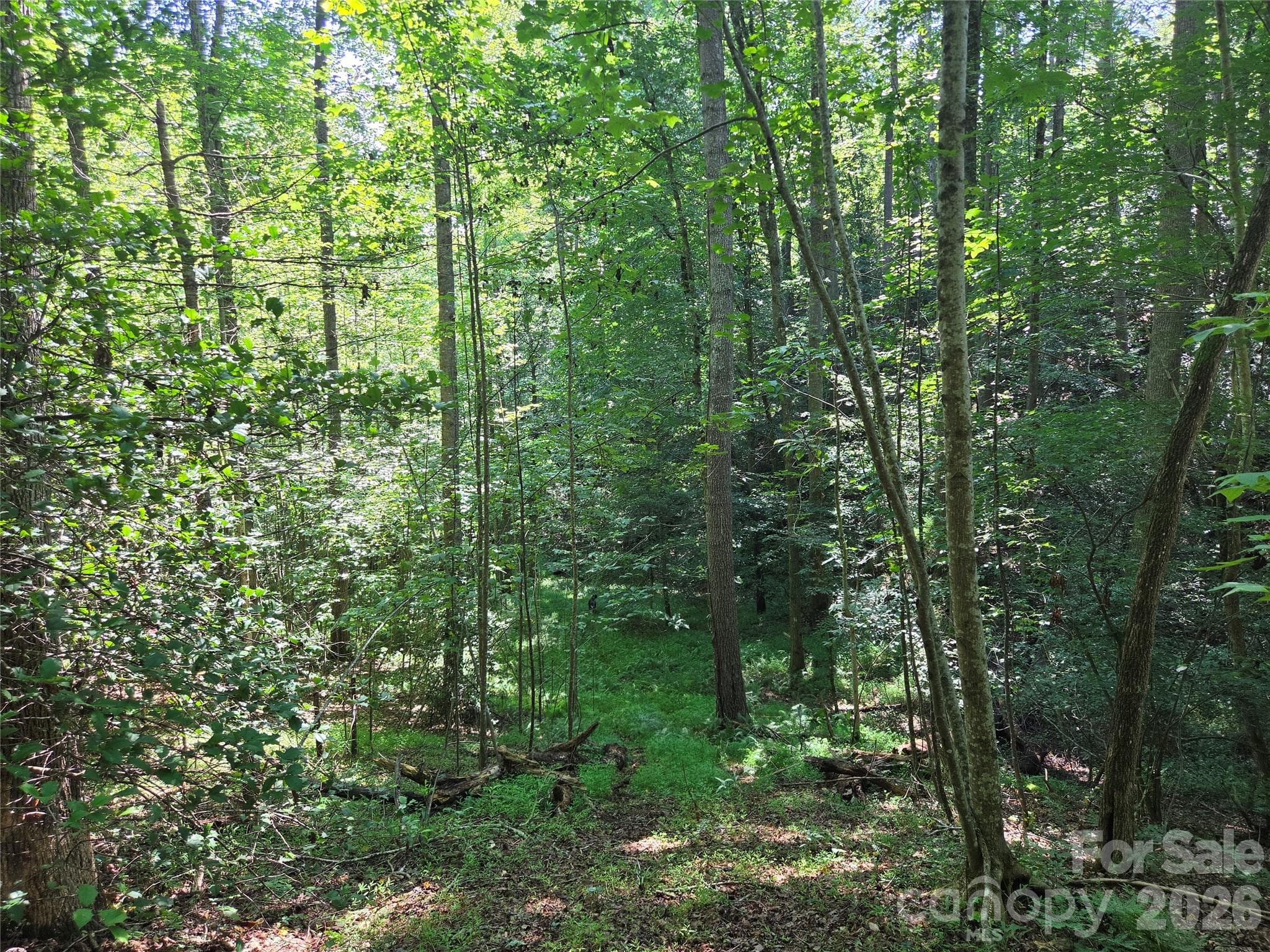 Acreage at 700 Nelson Lane, Millers Creek, photo 25 of 47