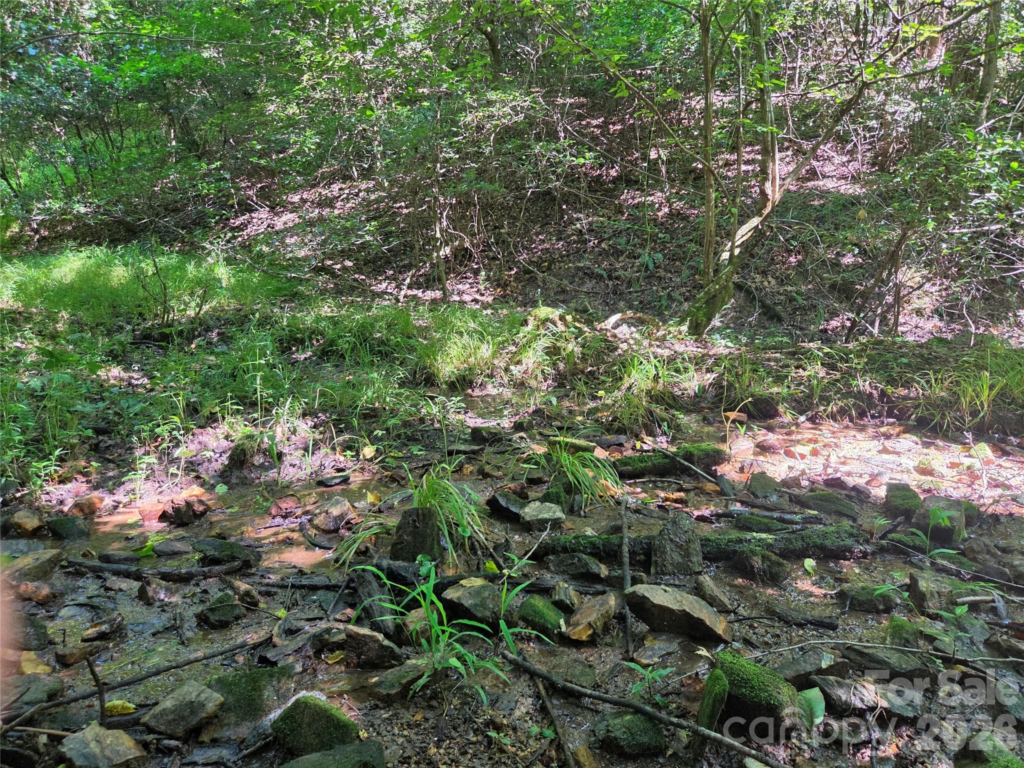 Acreage at 700 Nelson Lane, Millers Creek, photo 26 of 47