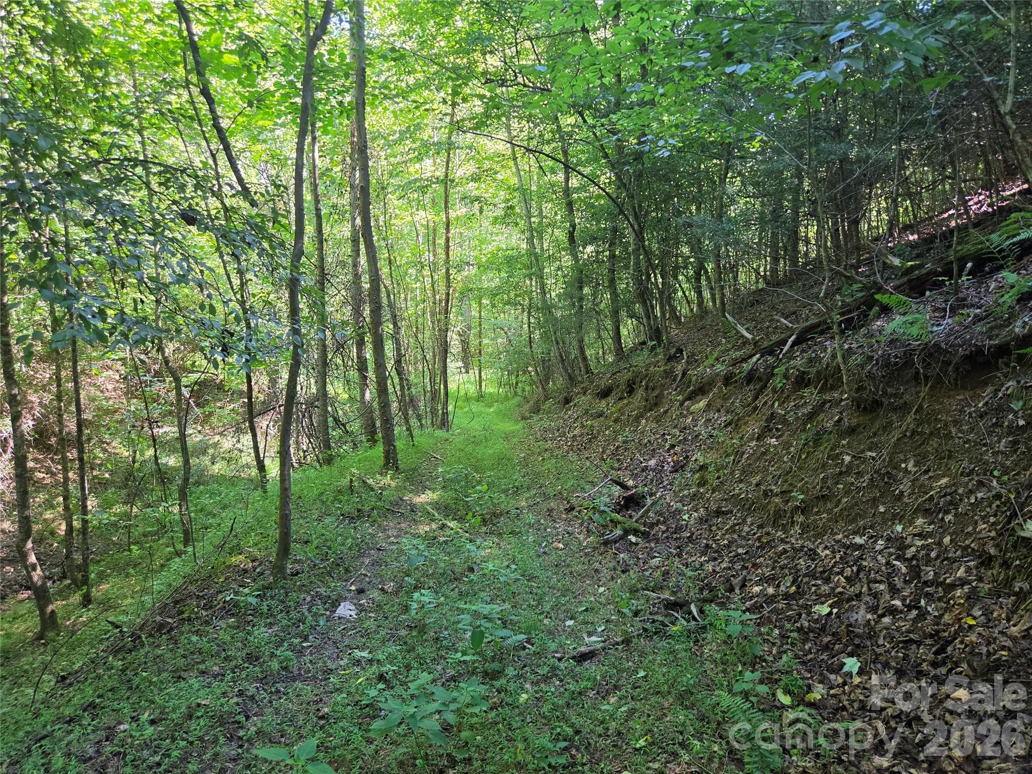Acreage at 700 Nelson Lane, Millers Creek, photo 28 of 47