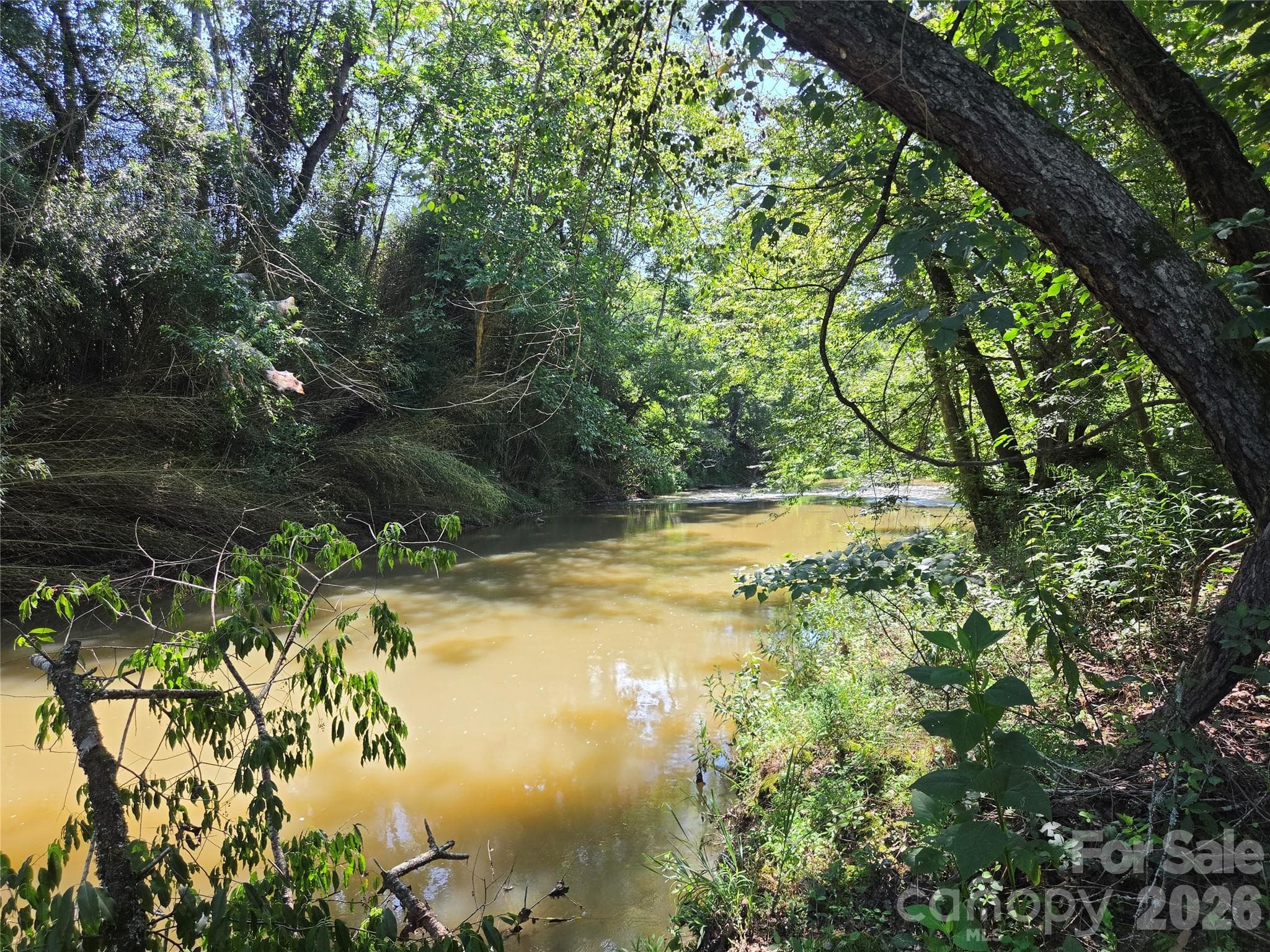 Acreage at 700 Nelson Lane, Millers Creek, photo 34 of 47