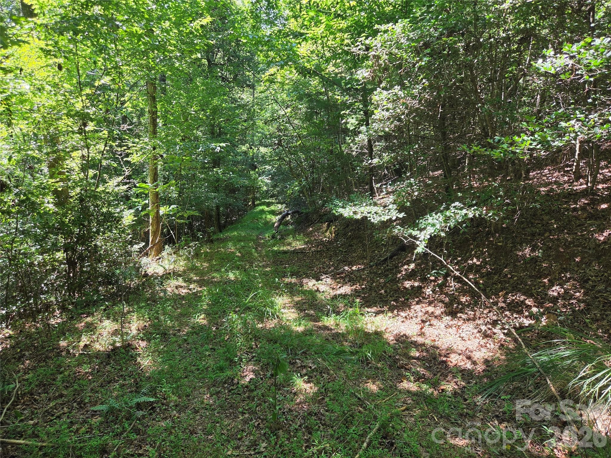 Acreage at 700 Nelson Lane, Millers Creek, photo 37 of 47