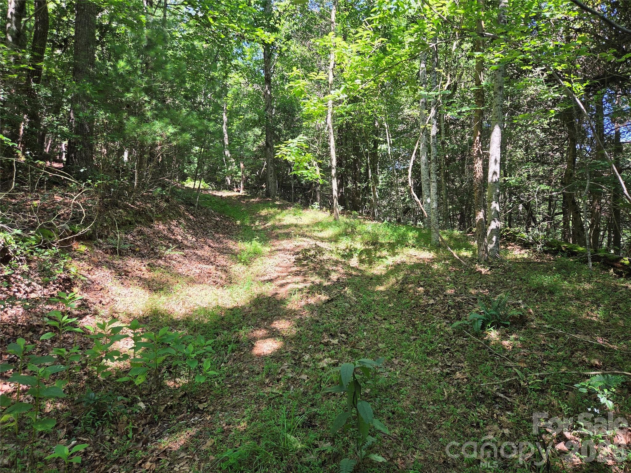 Acreage at 700 Nelson Lane, Millers Creek, photo 38 of 47