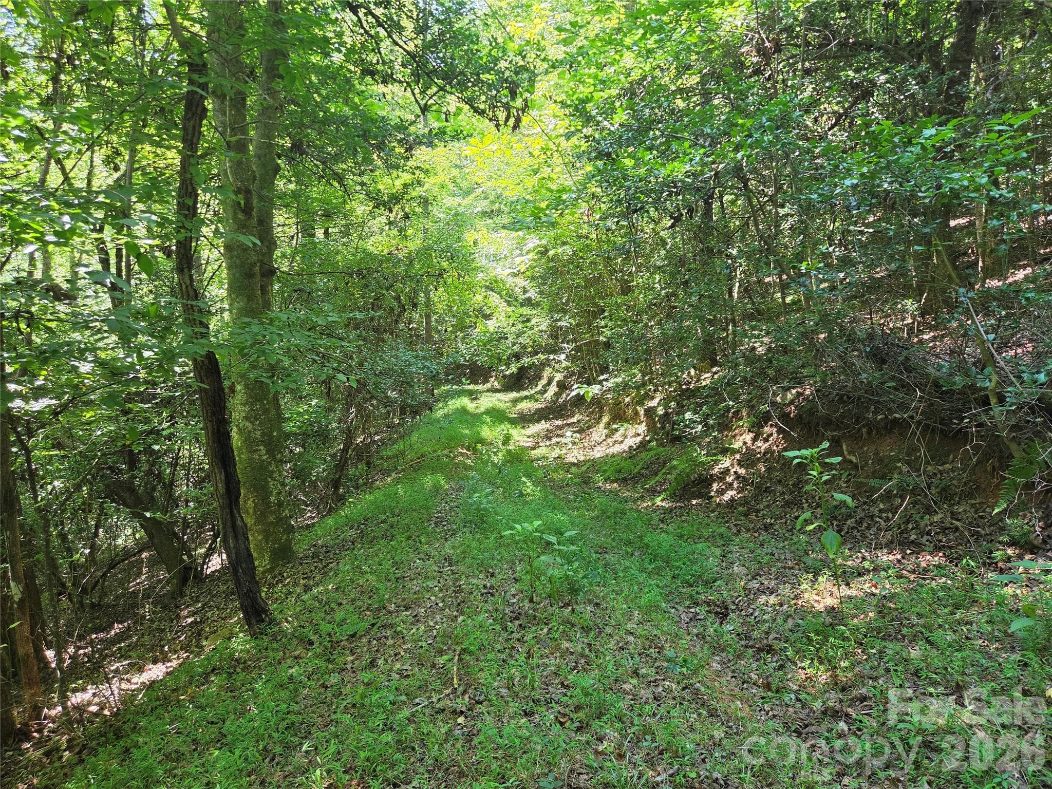 Acreage at 700 Nelson Lane, Millers Creek, photo 39 of 47
