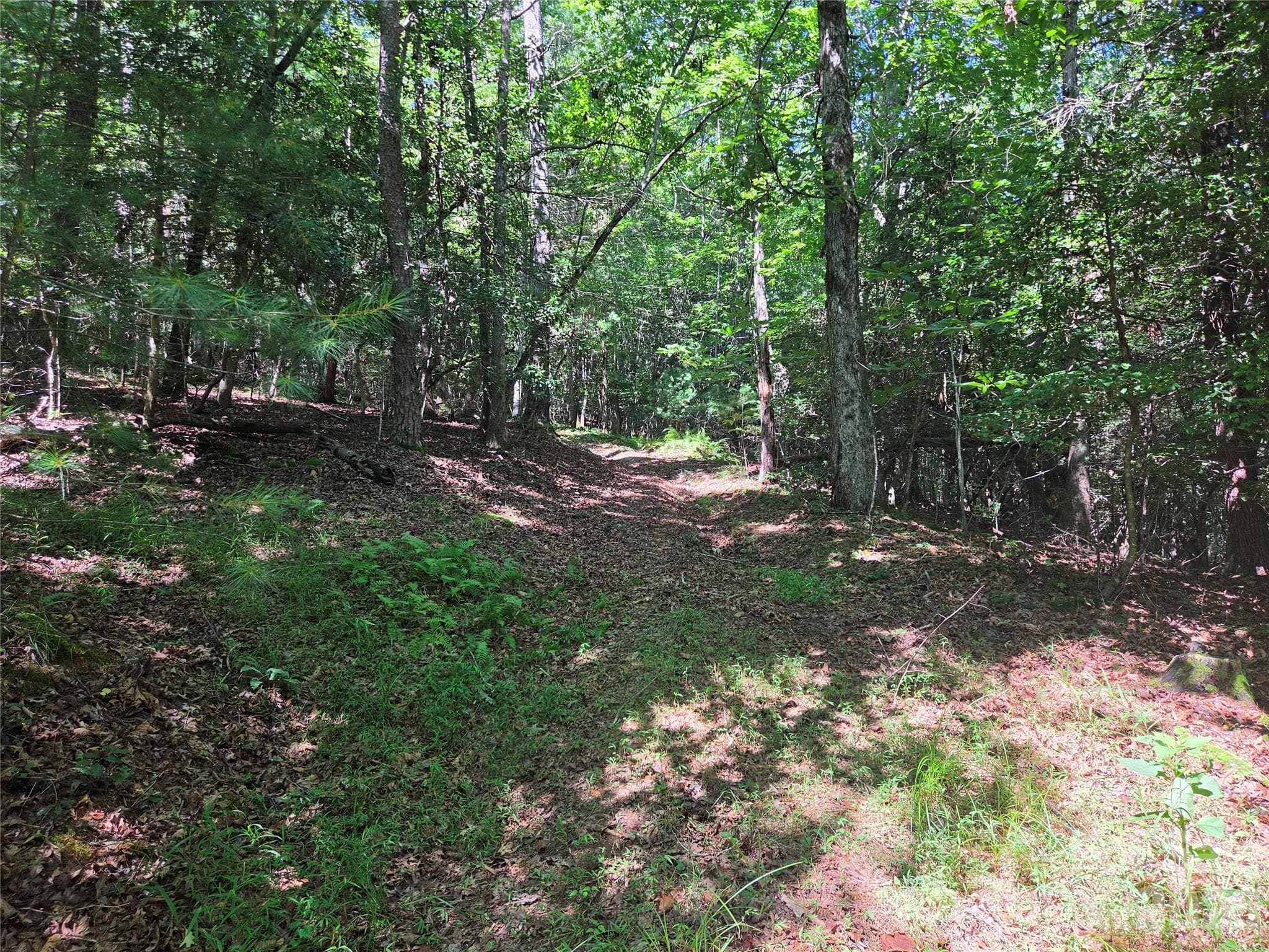 Acreage at 700 Nelson Lane, Millers Creek, photo 40 of 47