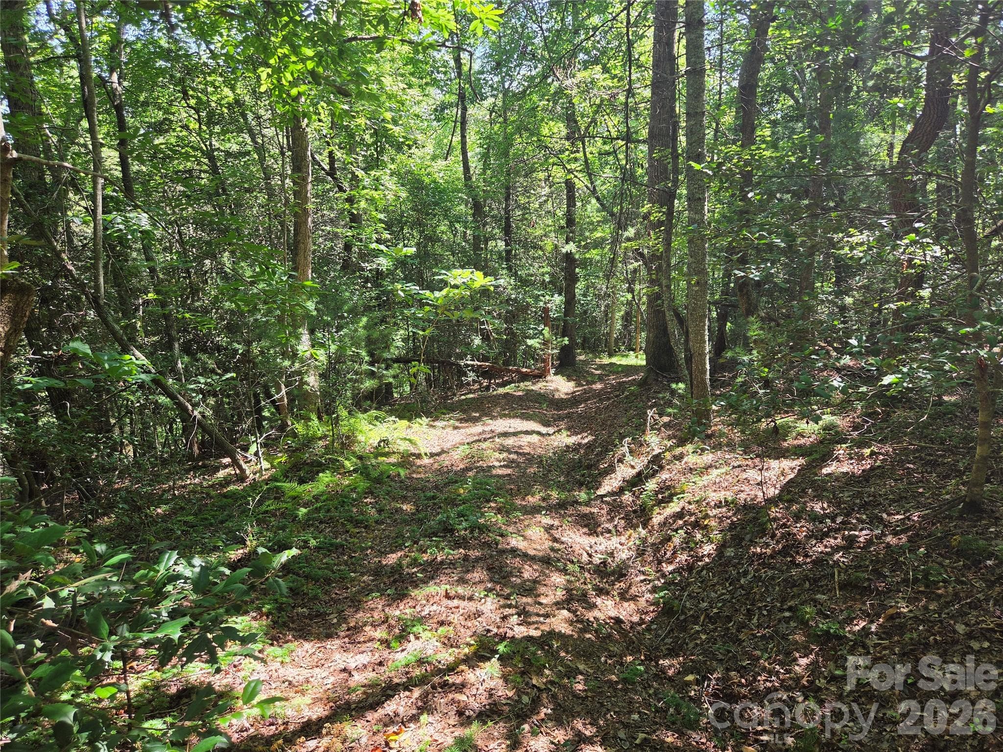 Acreage at 700 Nelson Lane, Millers Creek, photo 41 of 47