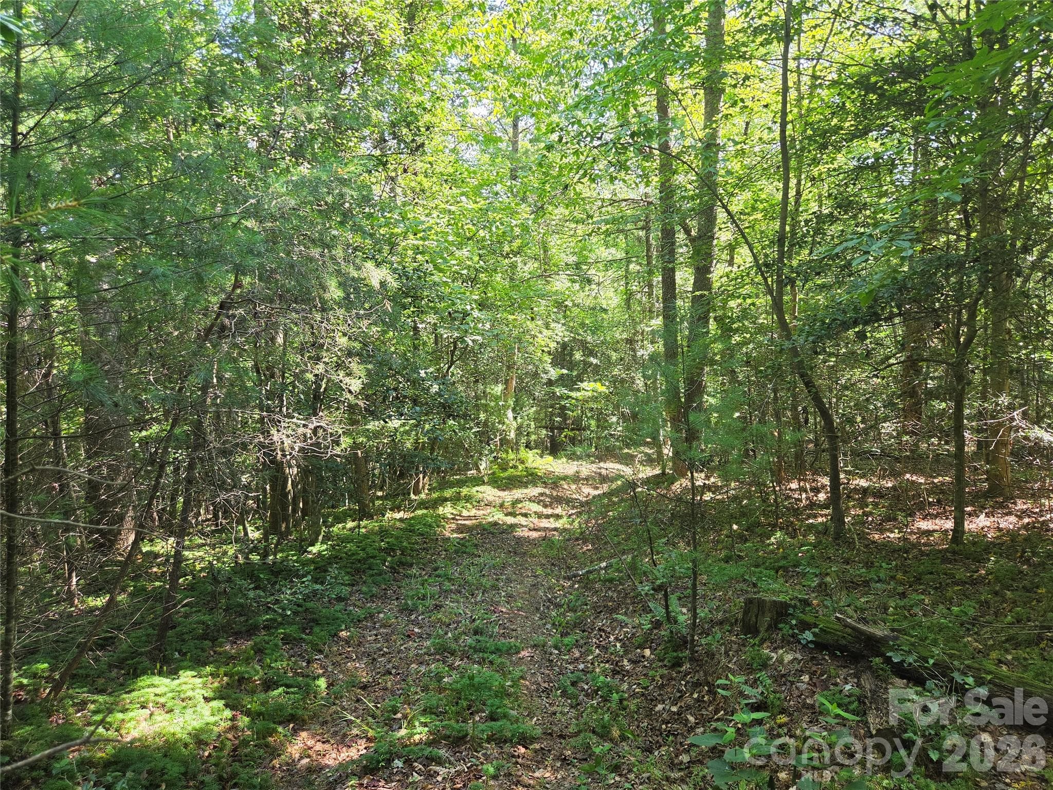 Acreage at 700 Nelson Lane, Millers Creek, photo 42 of 47