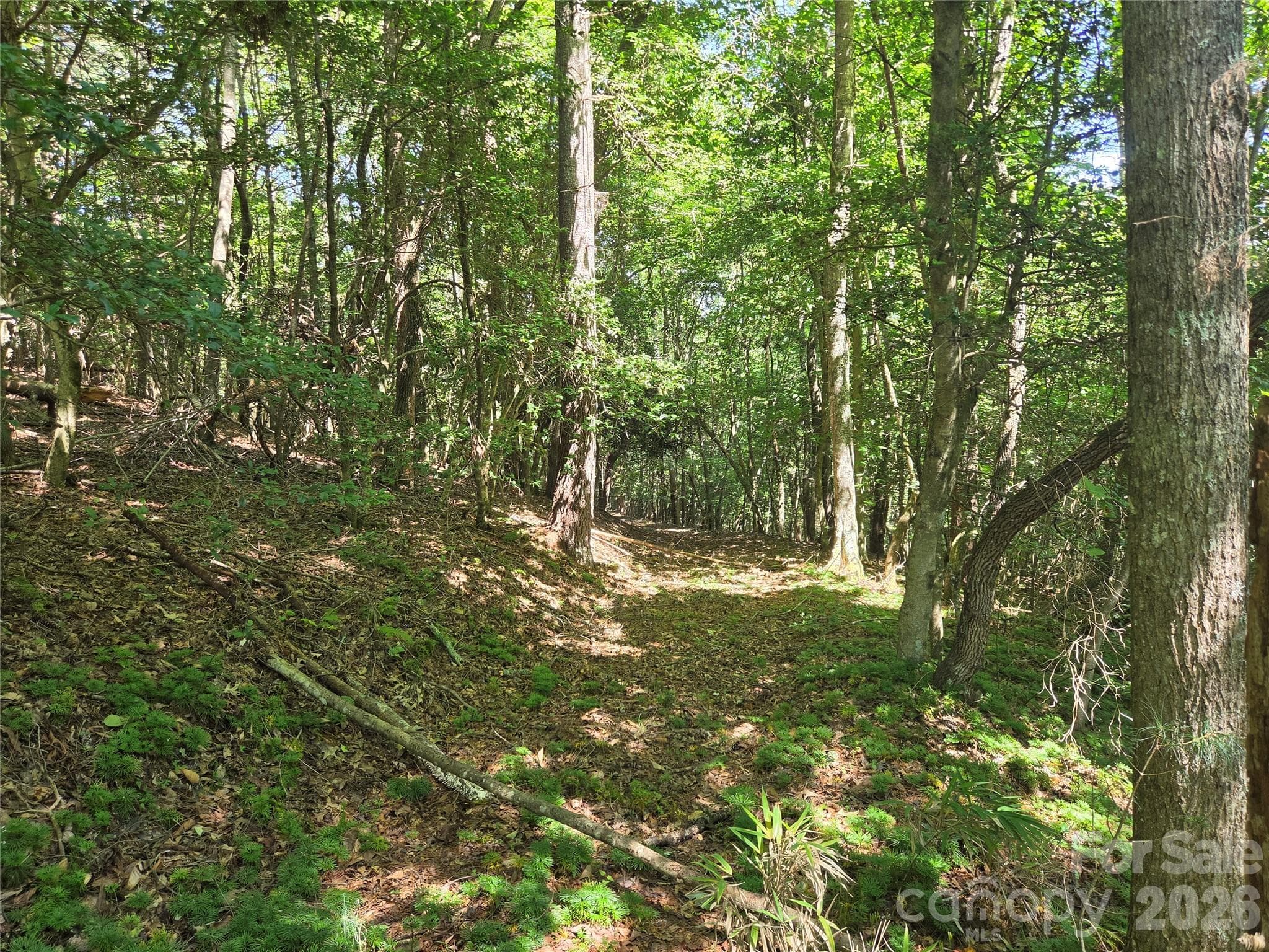 Acreage at 700 Nelson Lane, Millers Creek, photo 43 of 47