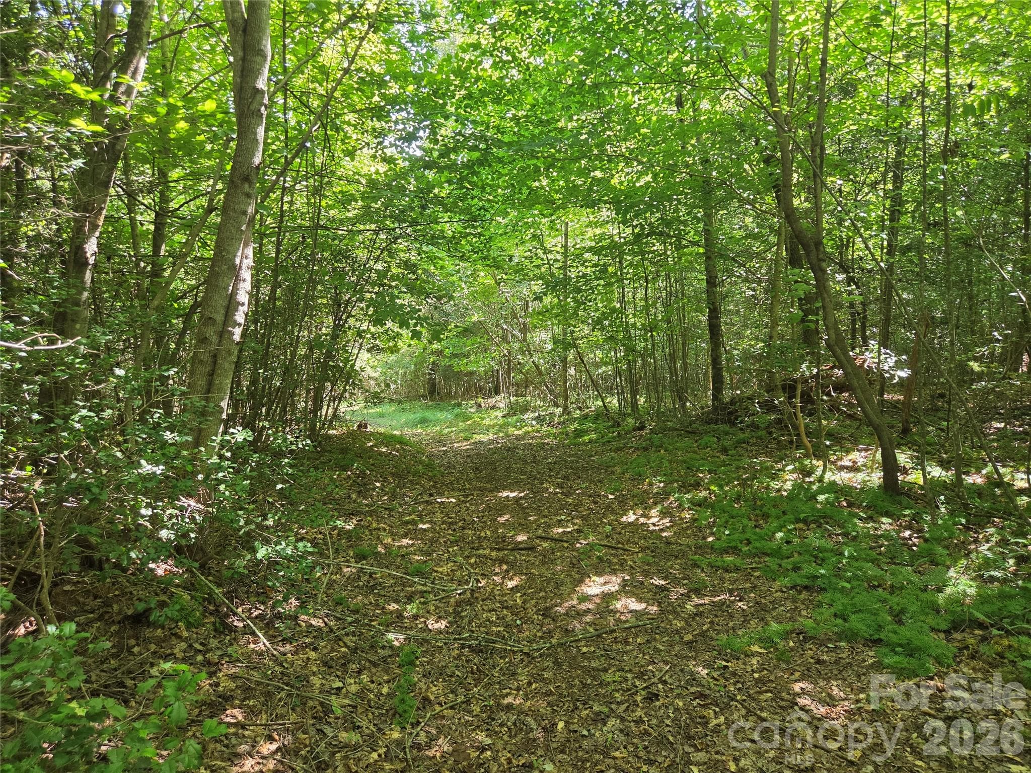 Acreage at 700 Nelson Lane, Millers Creek, photo 44 of 47