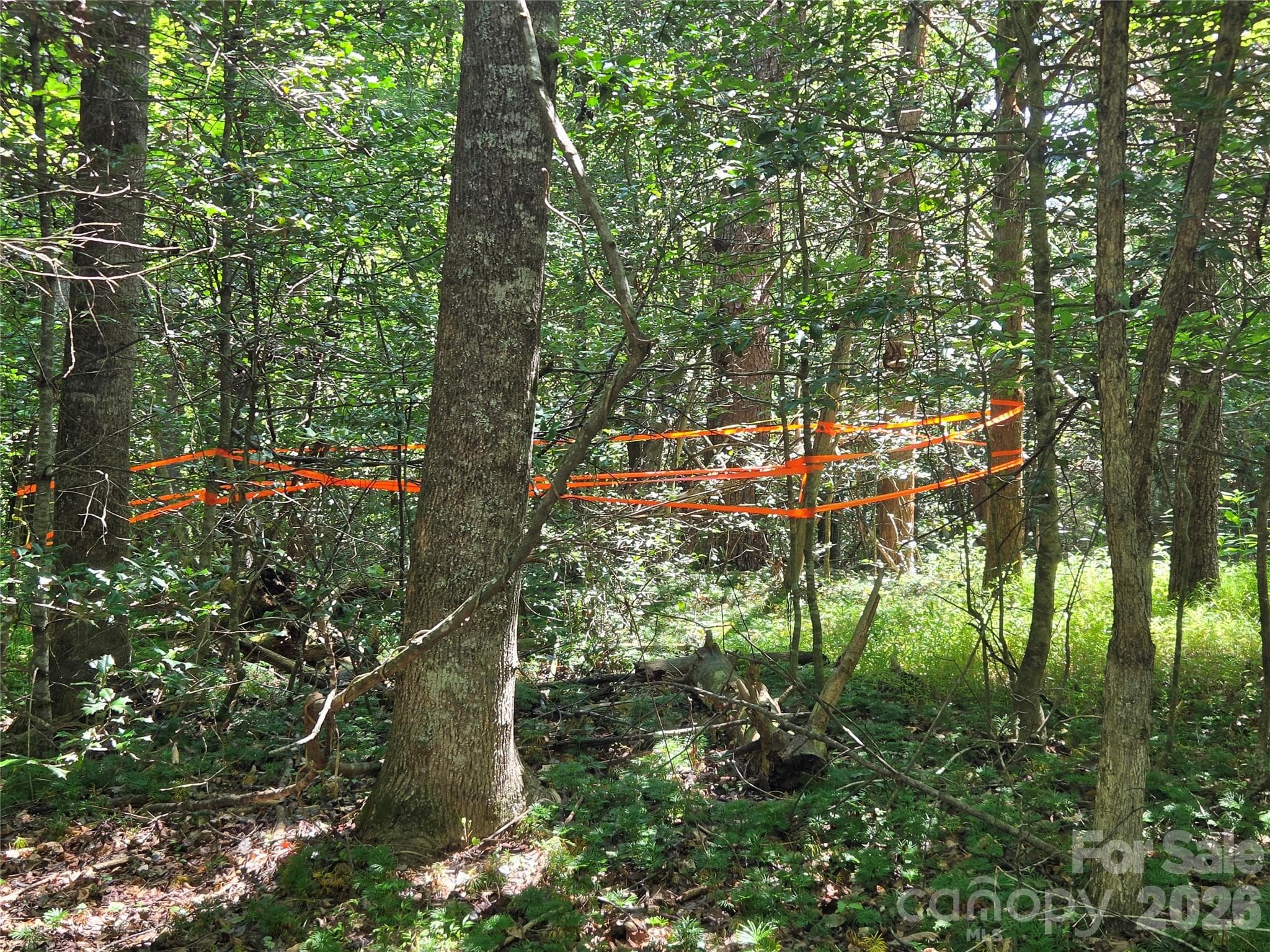 Abandoned Well - 700 Nelson Lane, Millers Creek
