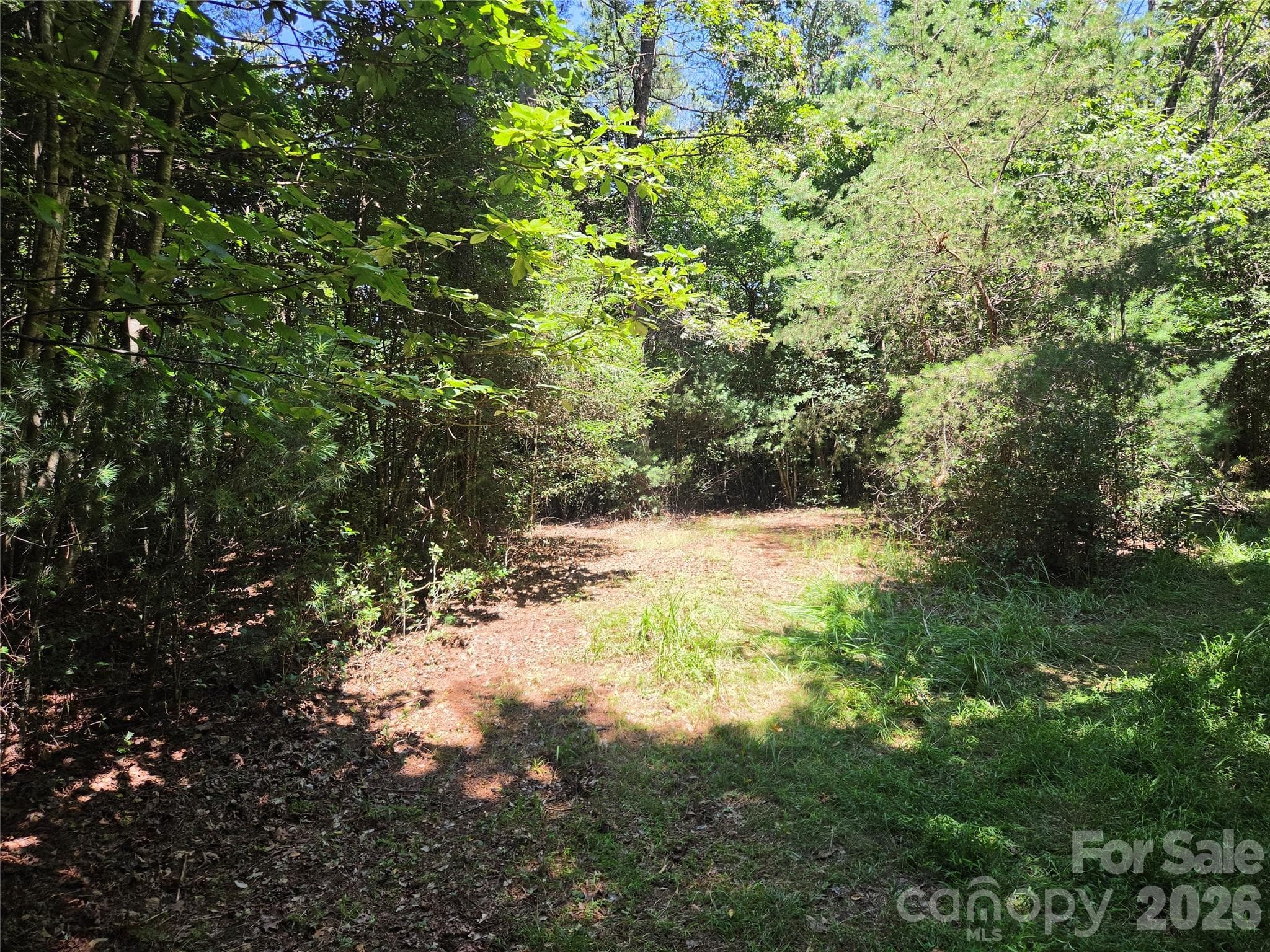 Acreage at 700 Nelson Lane, Millers Creek, photo 46 of 47