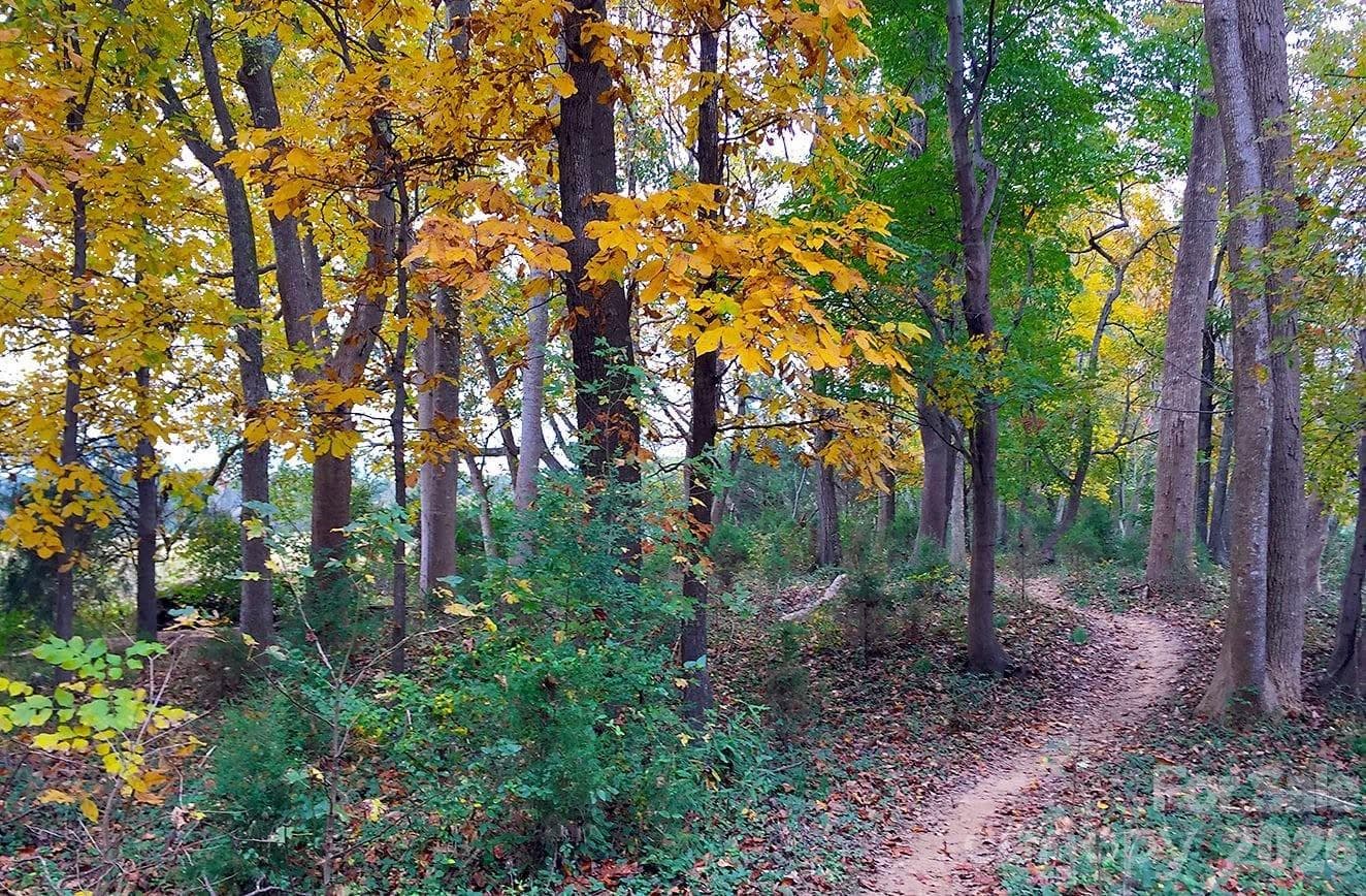 And walking trails. - 13520 Andulusian Drive, Matthews