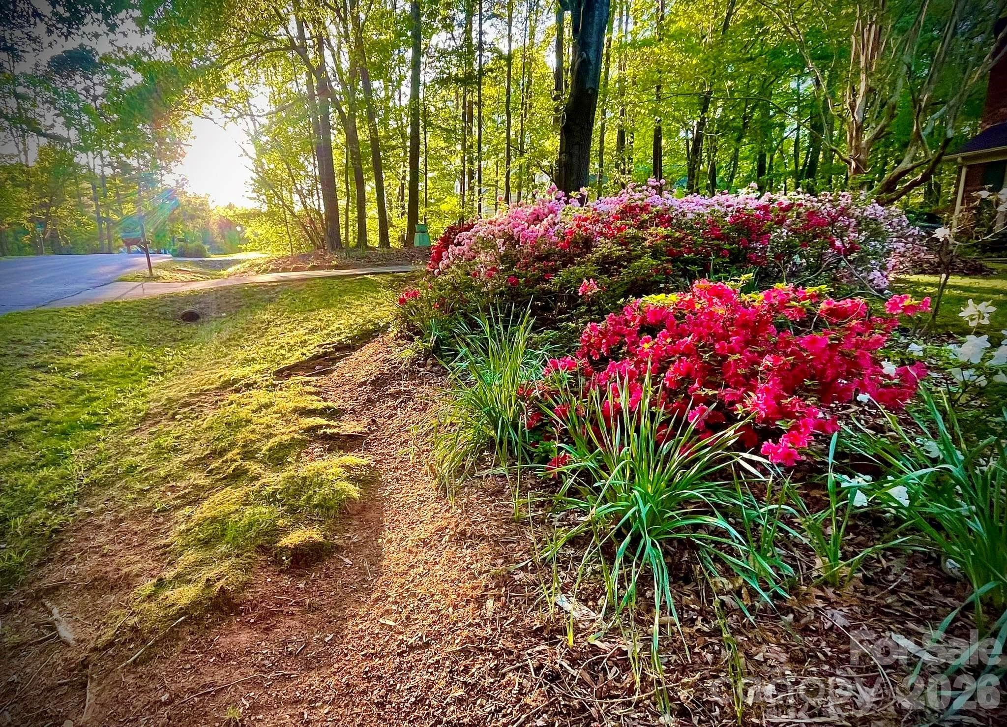 And gorgeous streetscapes. - 13520 Andulusian Drive, Matthews