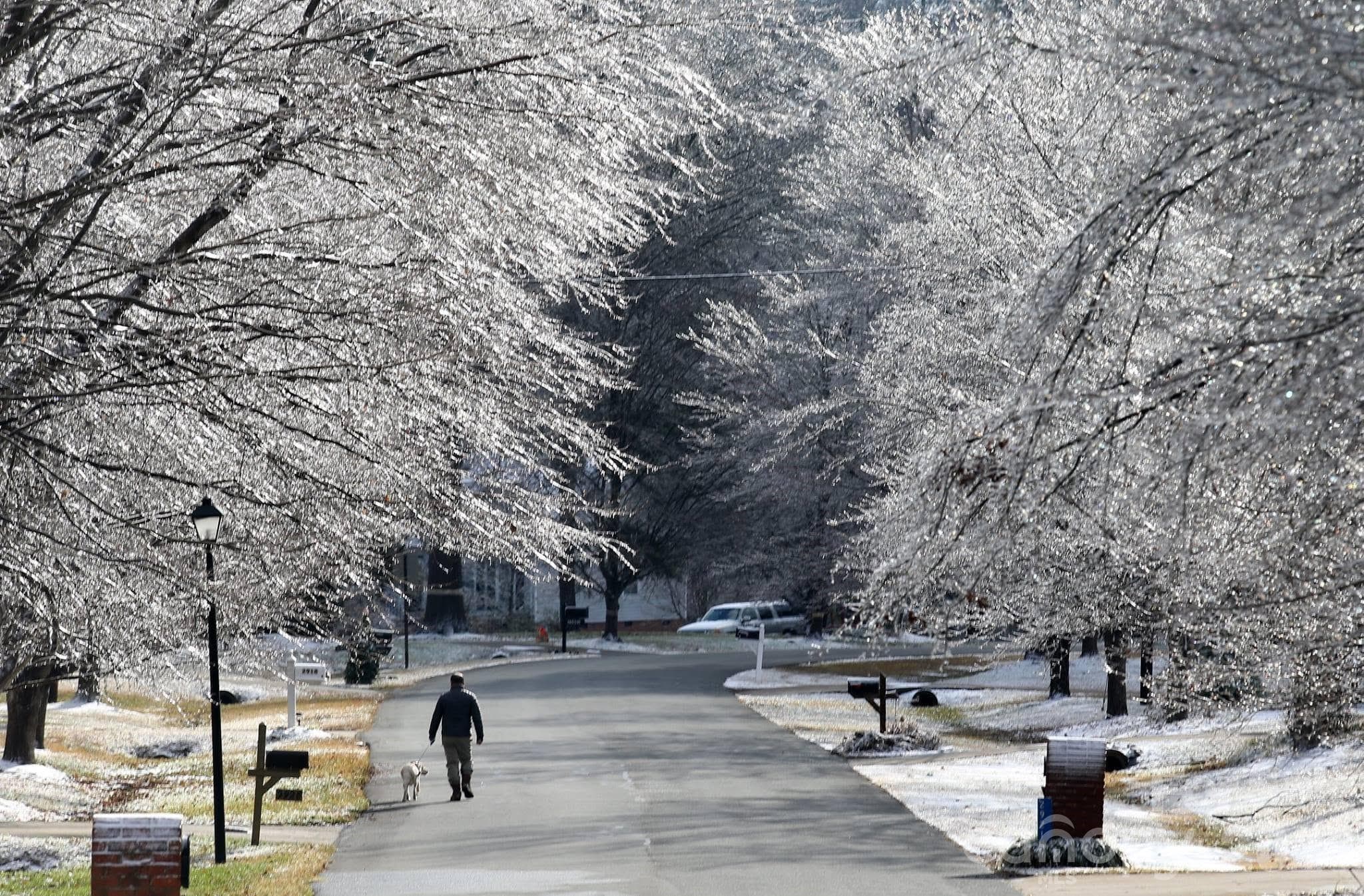 Love those tree-lined streets. - 13520 Andulusian Drive, Matthews