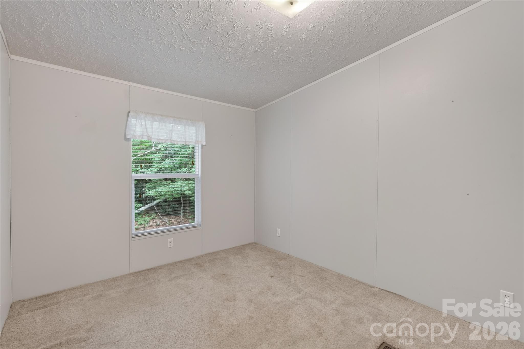 Bonus room - 146 Banks View Lane, Hendersonville