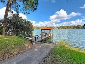 comumunity dock and ramp - 1760 LAKE TERRACE DR, EUSTIS