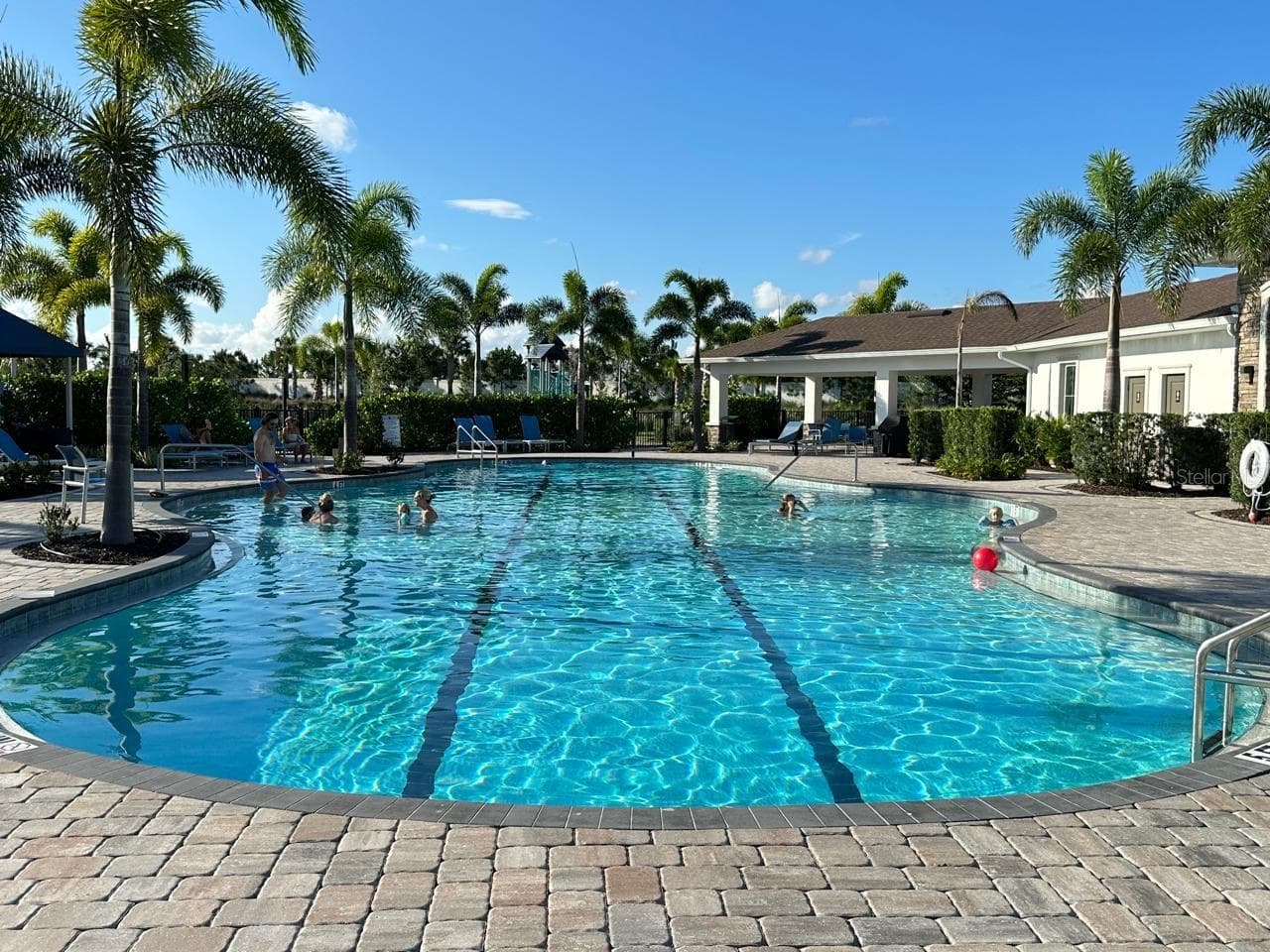 Community Pool - 12760 LATERAL ROOT DR, SARASOTA