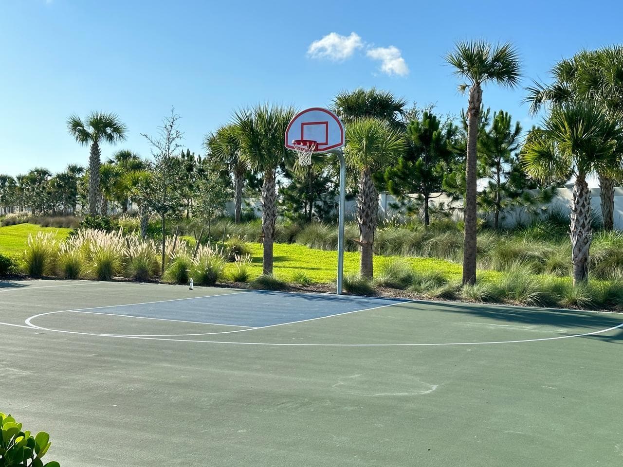Community basketball hooops - 12760 LATERAL ROOT DR, SARASOTA