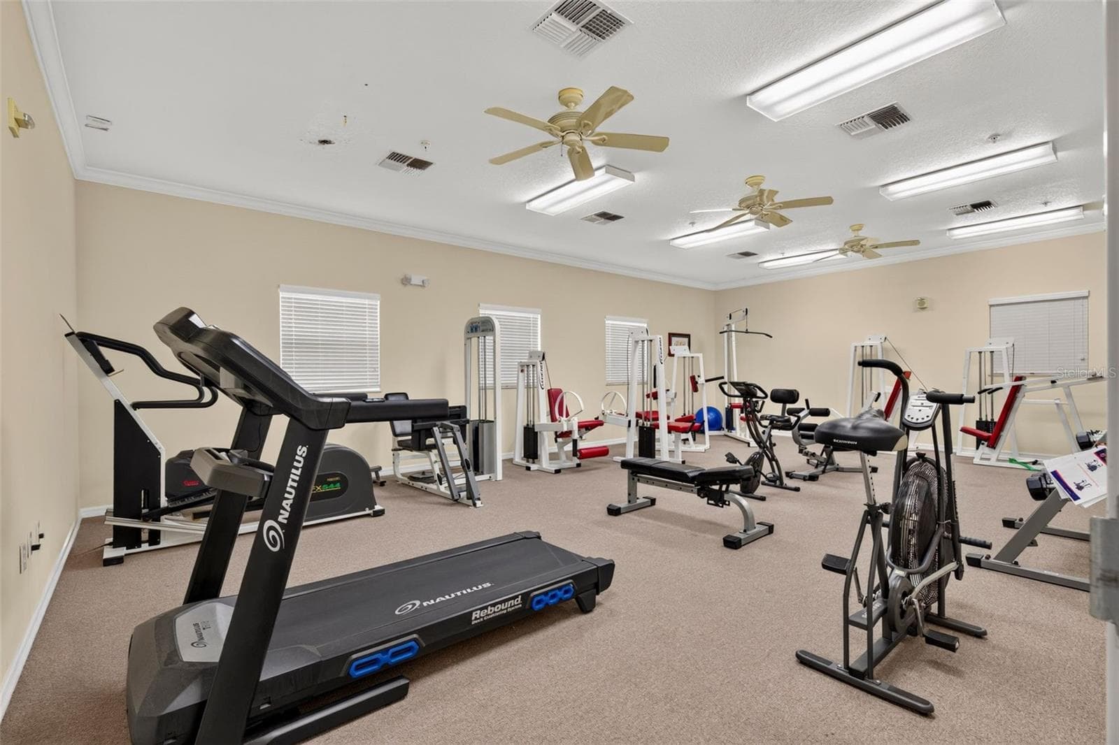 Community Center - Gym - 7980 SOUTHERN PINES DR, BROOKSVILLE
