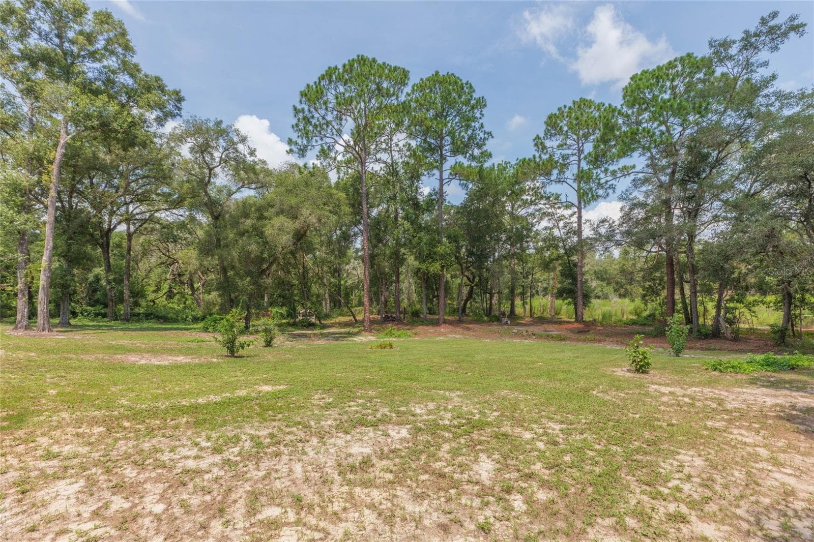 Single Family Residence at 34299 BELT DR, DADE CITY, photo 61 of 74
