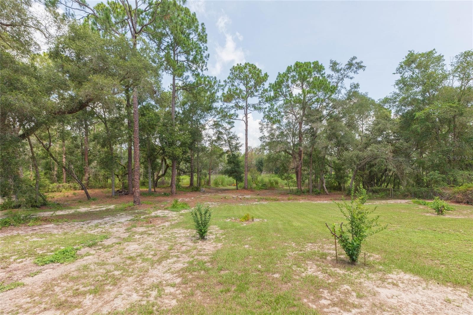 Single Family Residence at 34299 BELT DR, DADE CITY, photo 62 of 74