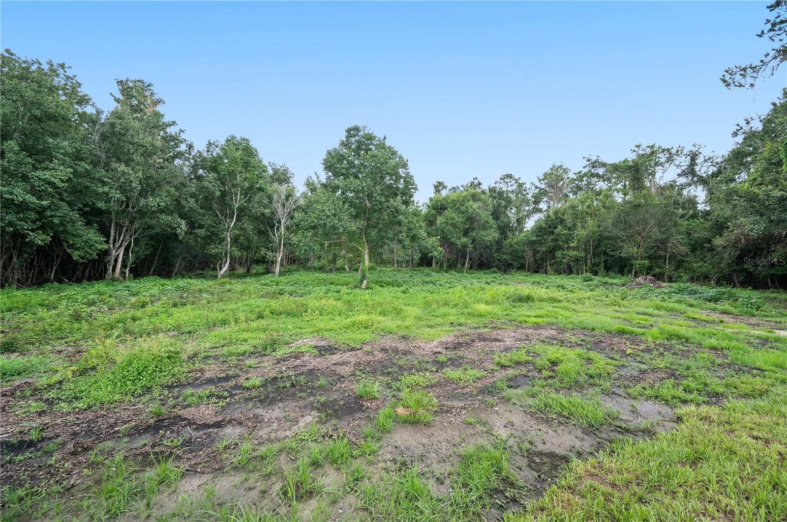 Single Family Residence at 11033 SHERROUSE RD, LAKELAND, photo 39 of 42