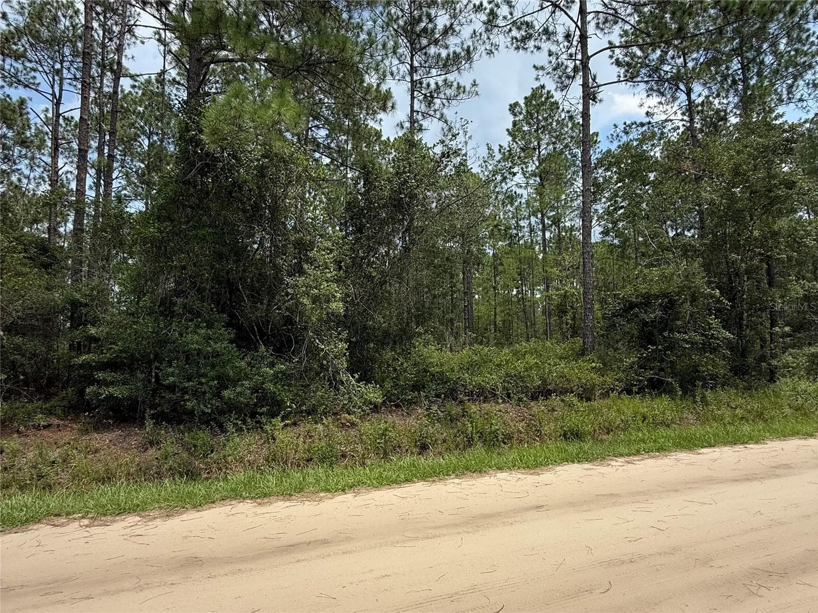 Land at 10620 DELGADO AVE, HASTINGS, photo 4 of 7