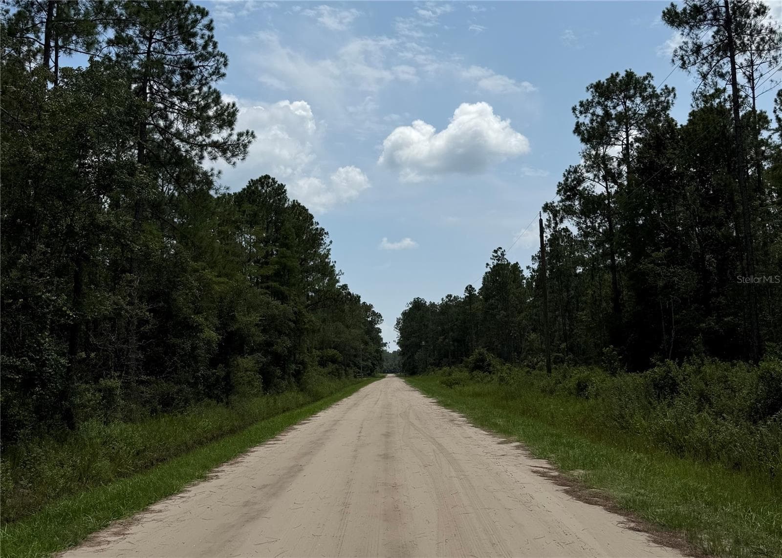 Land at 10620 DELGADO AVE, HASTINGS, photo 7 of 7