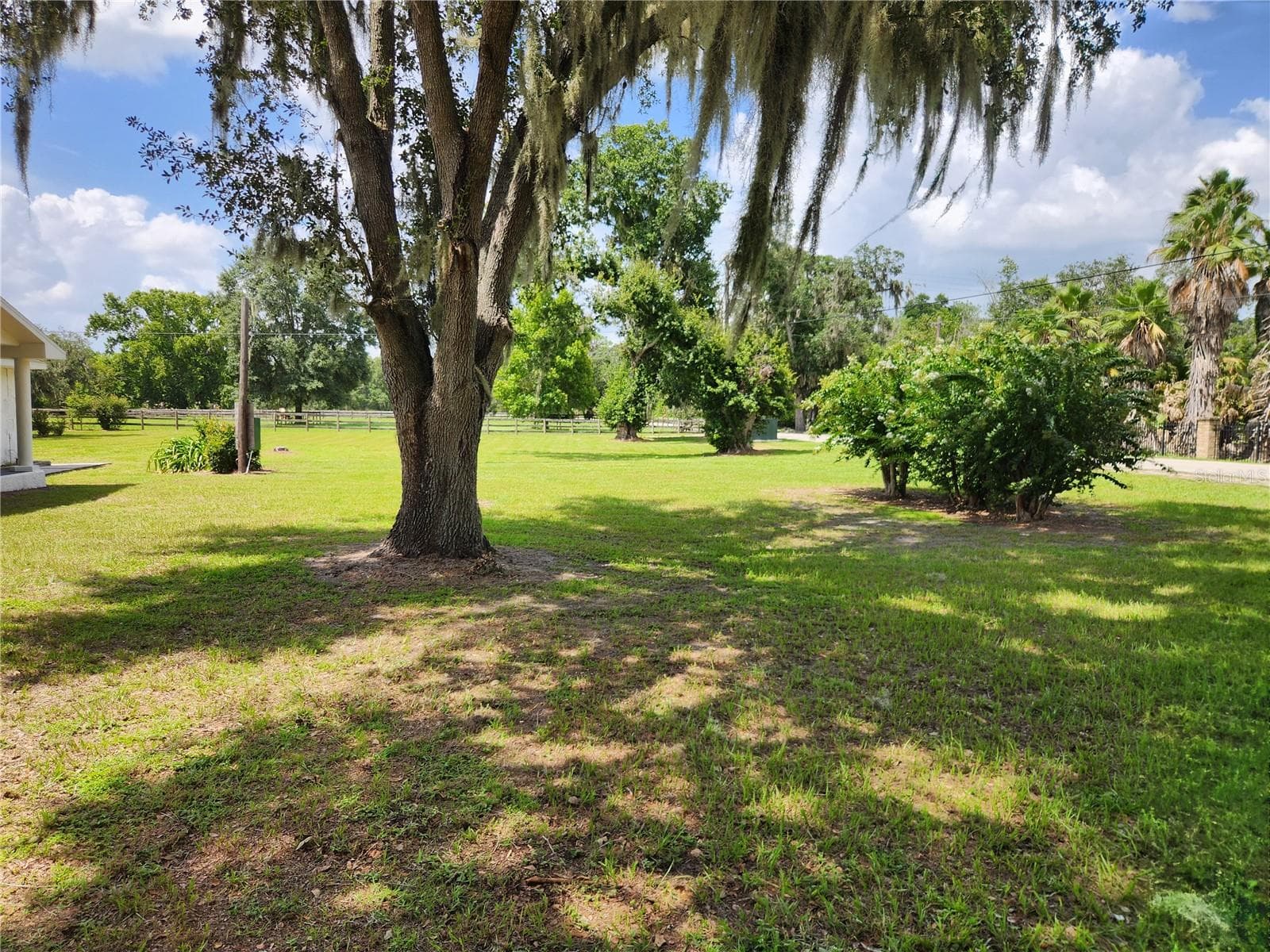 Single Family Residence at 3903 POWERLINE RD, LITHIA, photo 4 of 4