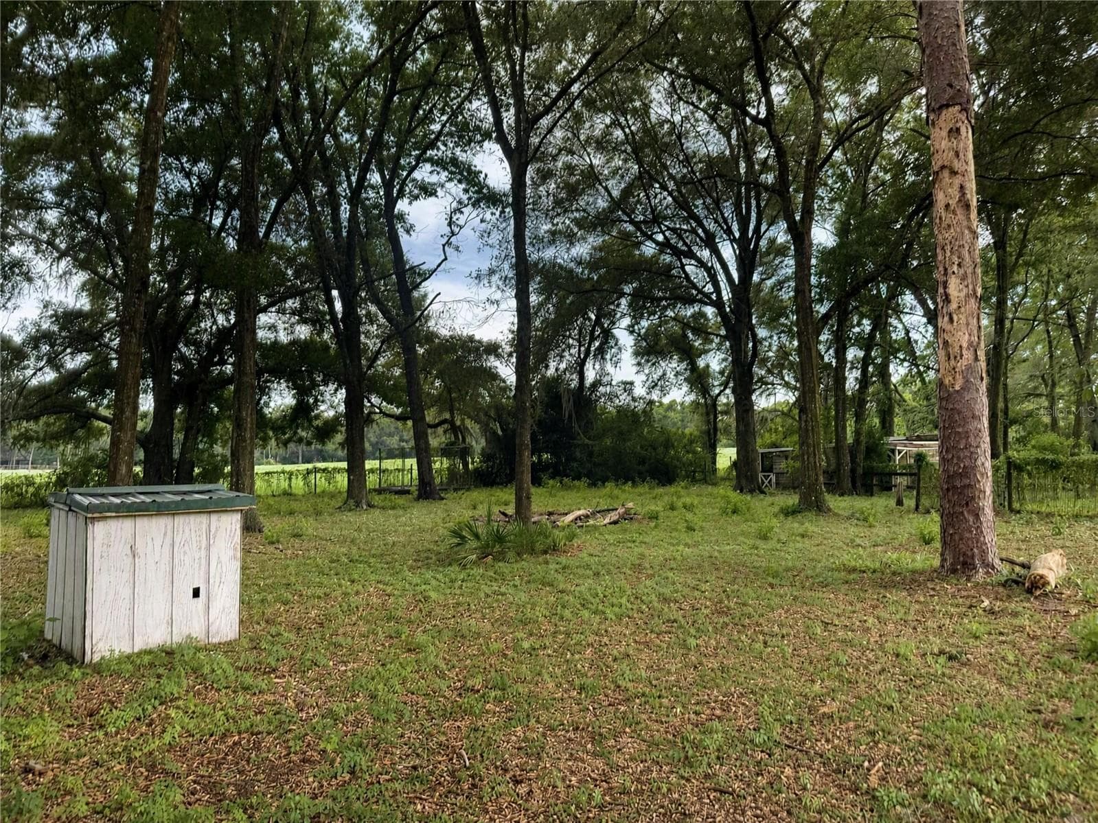 Manufactured Home at 25256 RICHBARN RD, BROOKSVILLE, photo 18 of 20