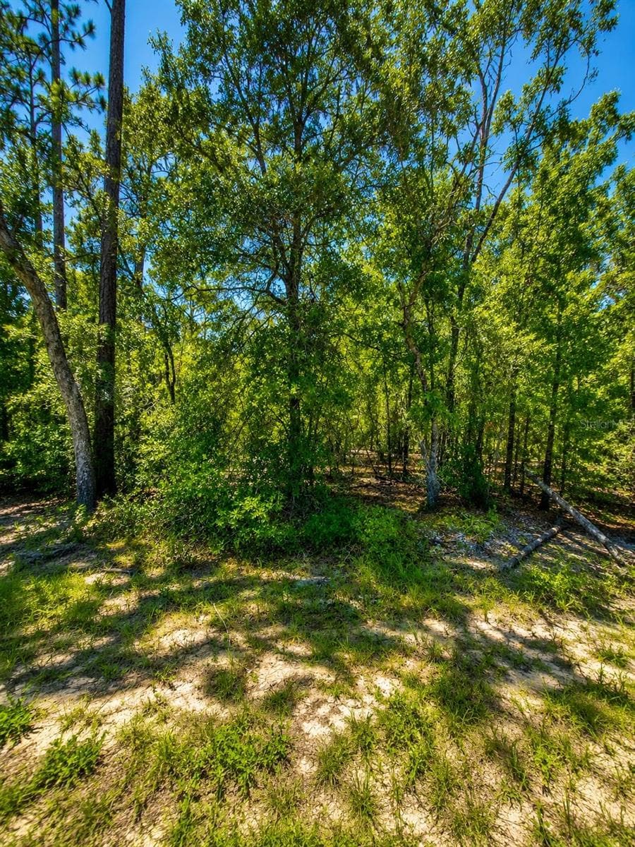Land at 507 & 509 BADEN POWELL RD, HAWTHORNE, photo 2 of 4