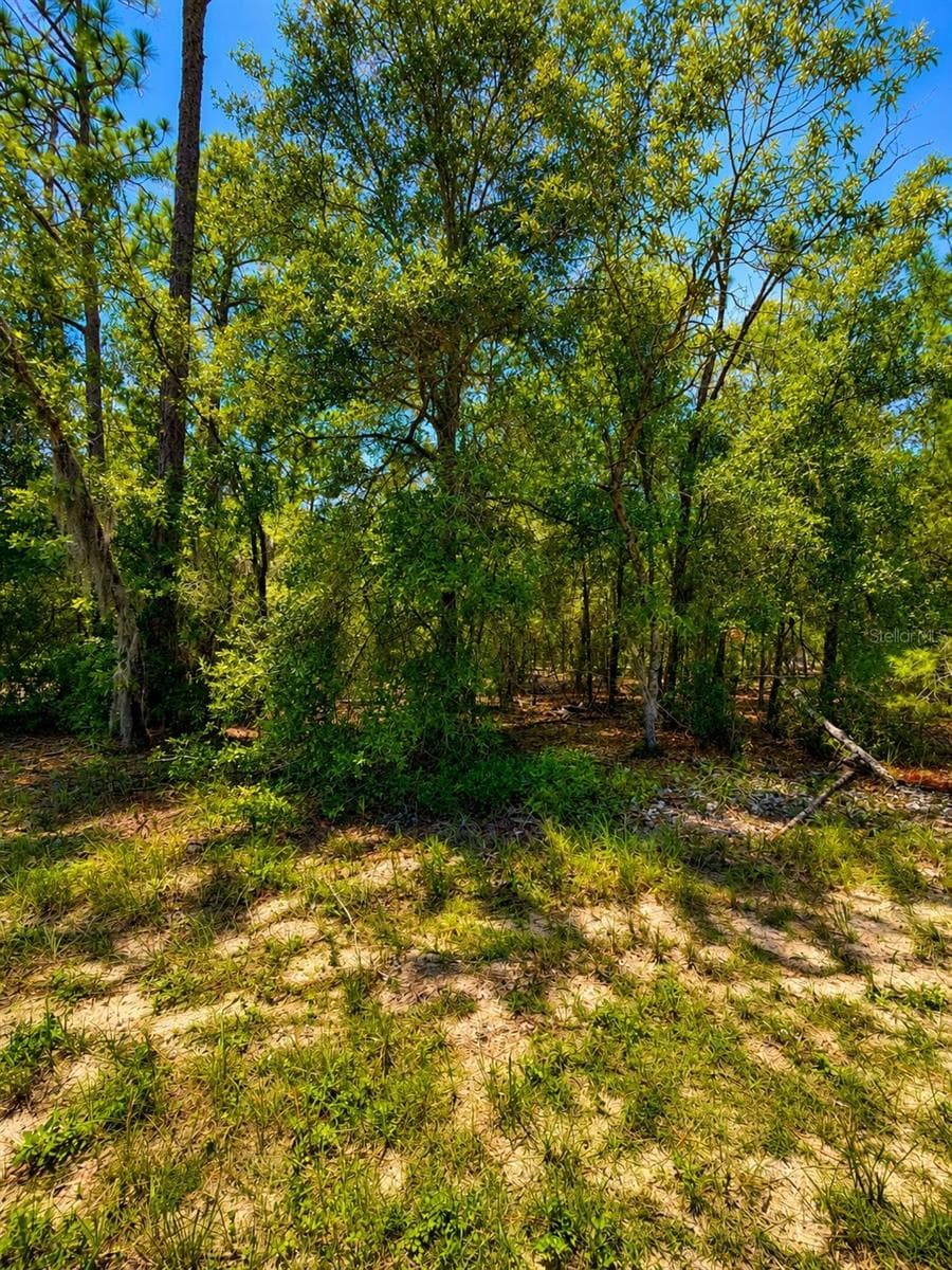 Land at 507 & 509 BADEN POWELL RD, HAWTHORNE, photo 3 of 4