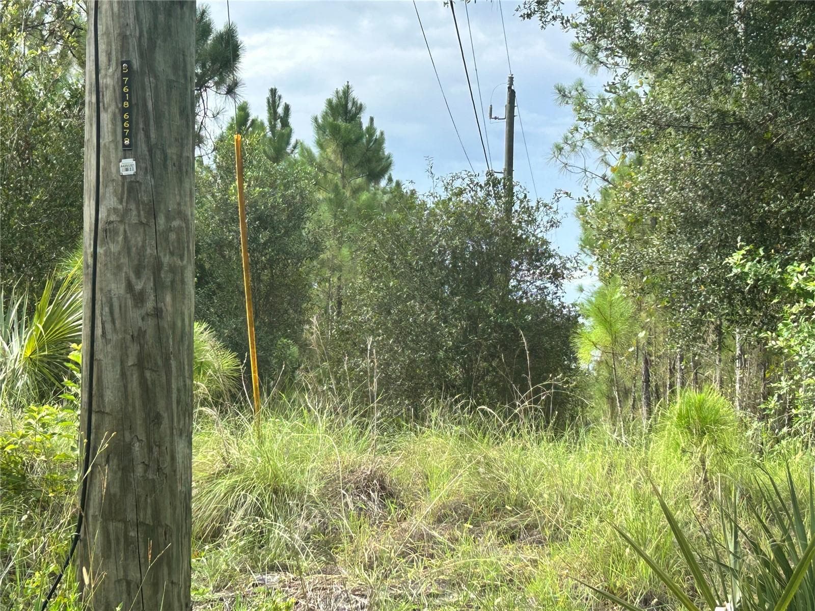 Electrical poles on site - 2805 E 15TH ST, LEHIGH ACRES