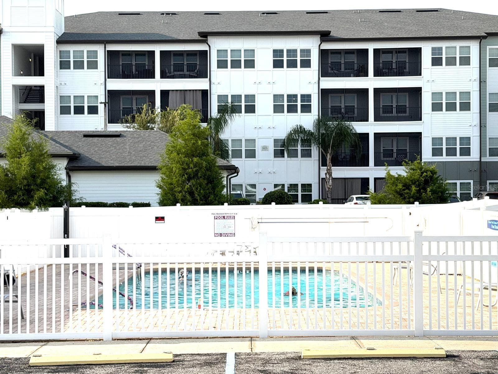 Public Pool area - 3937 CHRIS DR, WESLEY CHAPEL