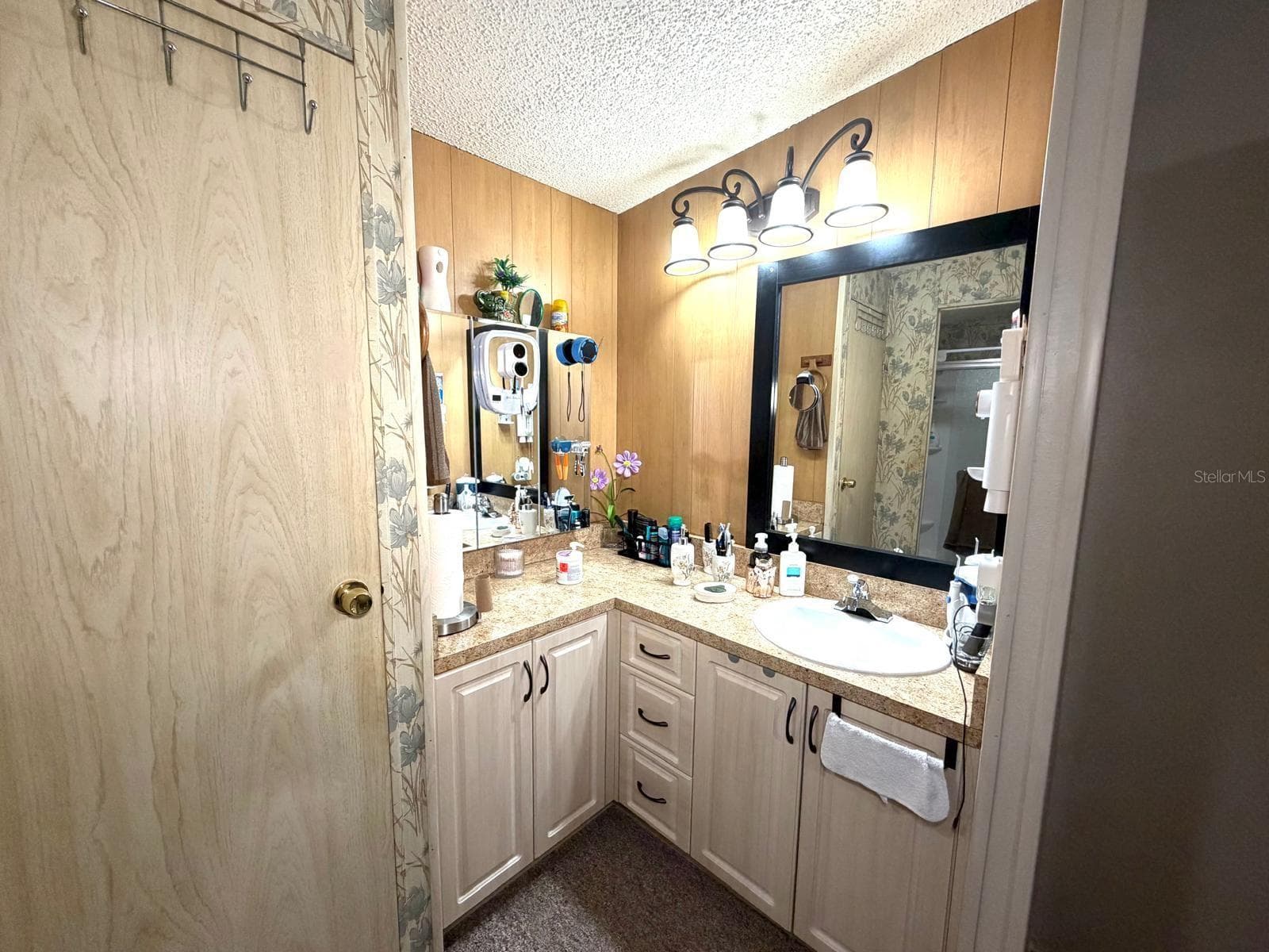 Spacious Primary Bathroom - 3937 CHRIS DR, WESLEY CHAPEL