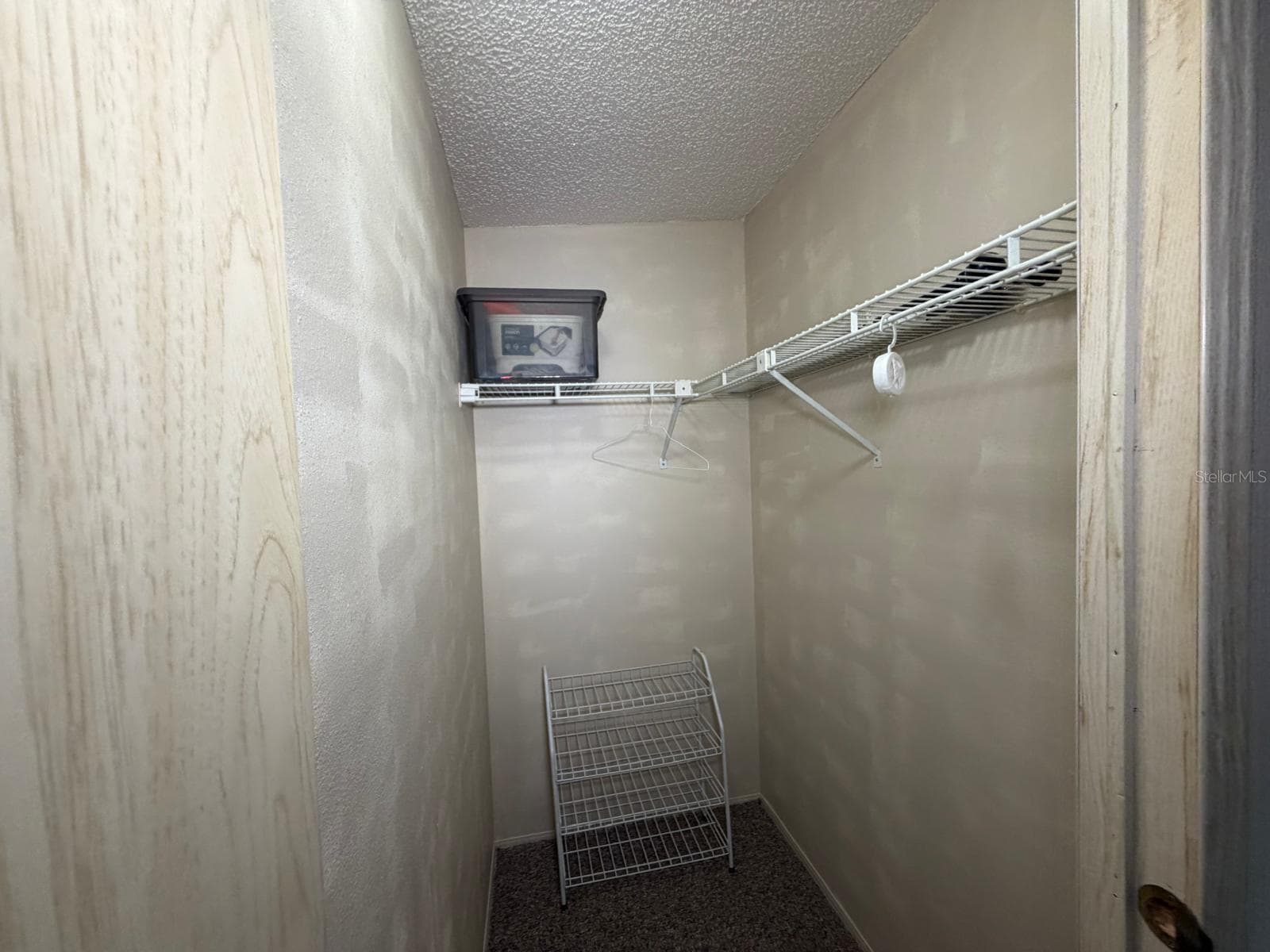 Closet 2-Walk-in Closet - 3937 CHRIS DR, WESLEY CHAPEL