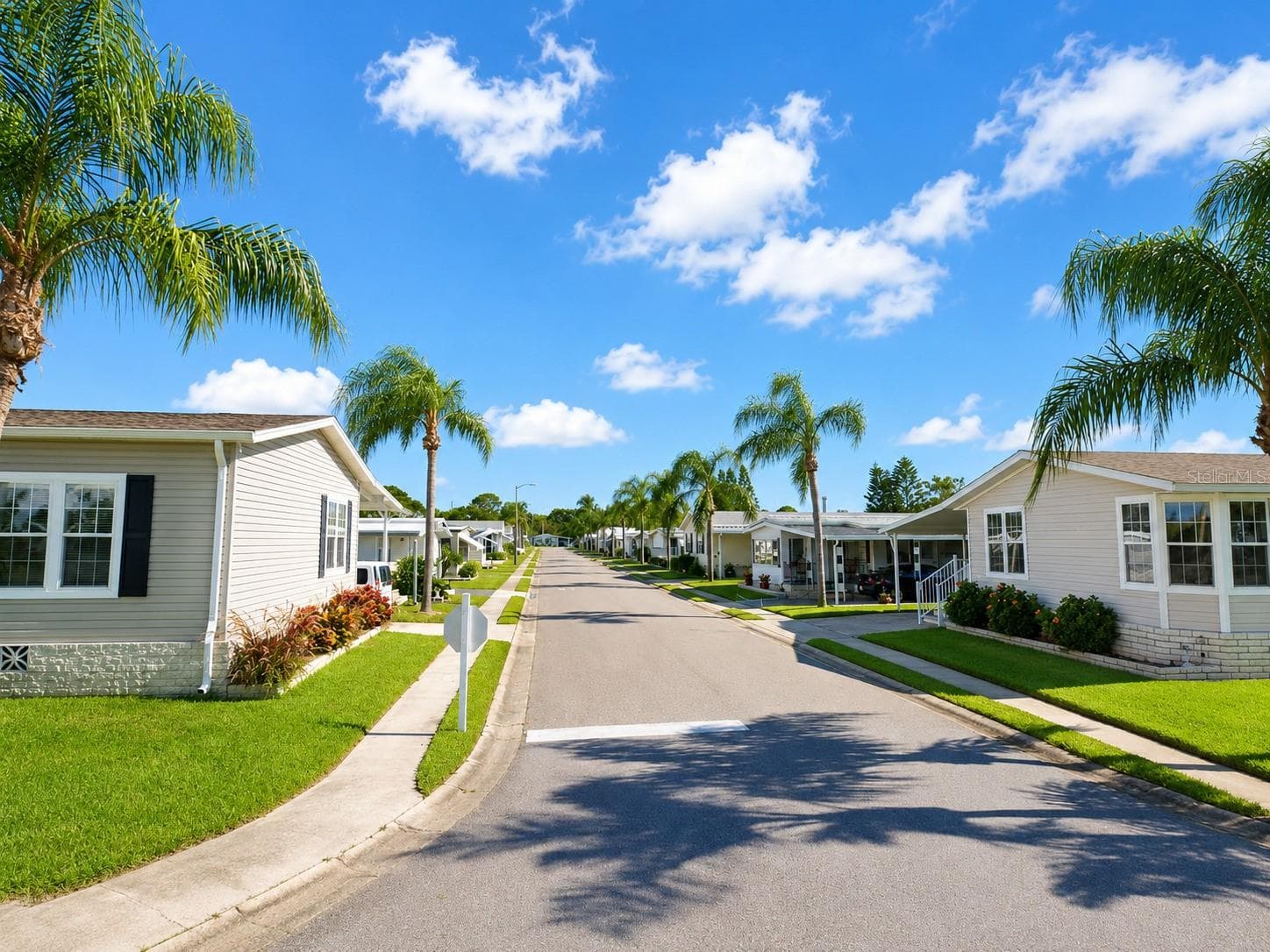 Wide streets, curb, gutters, sidewalks, street lights - 1100 BELCHER RD S #759, LARGO