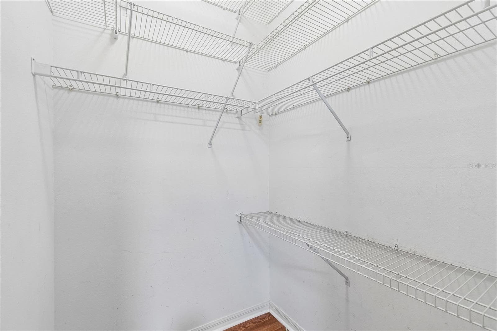 walk in closet - 5306 WATERLEAF CT, VALRICO