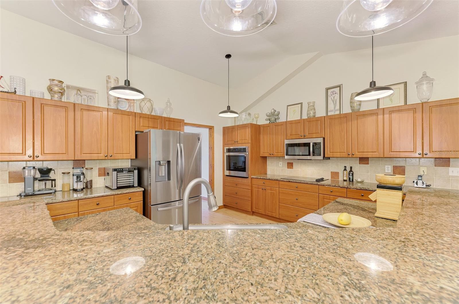 Gorgeous granite - 4610 403RD ST E, MYAKKA CITY