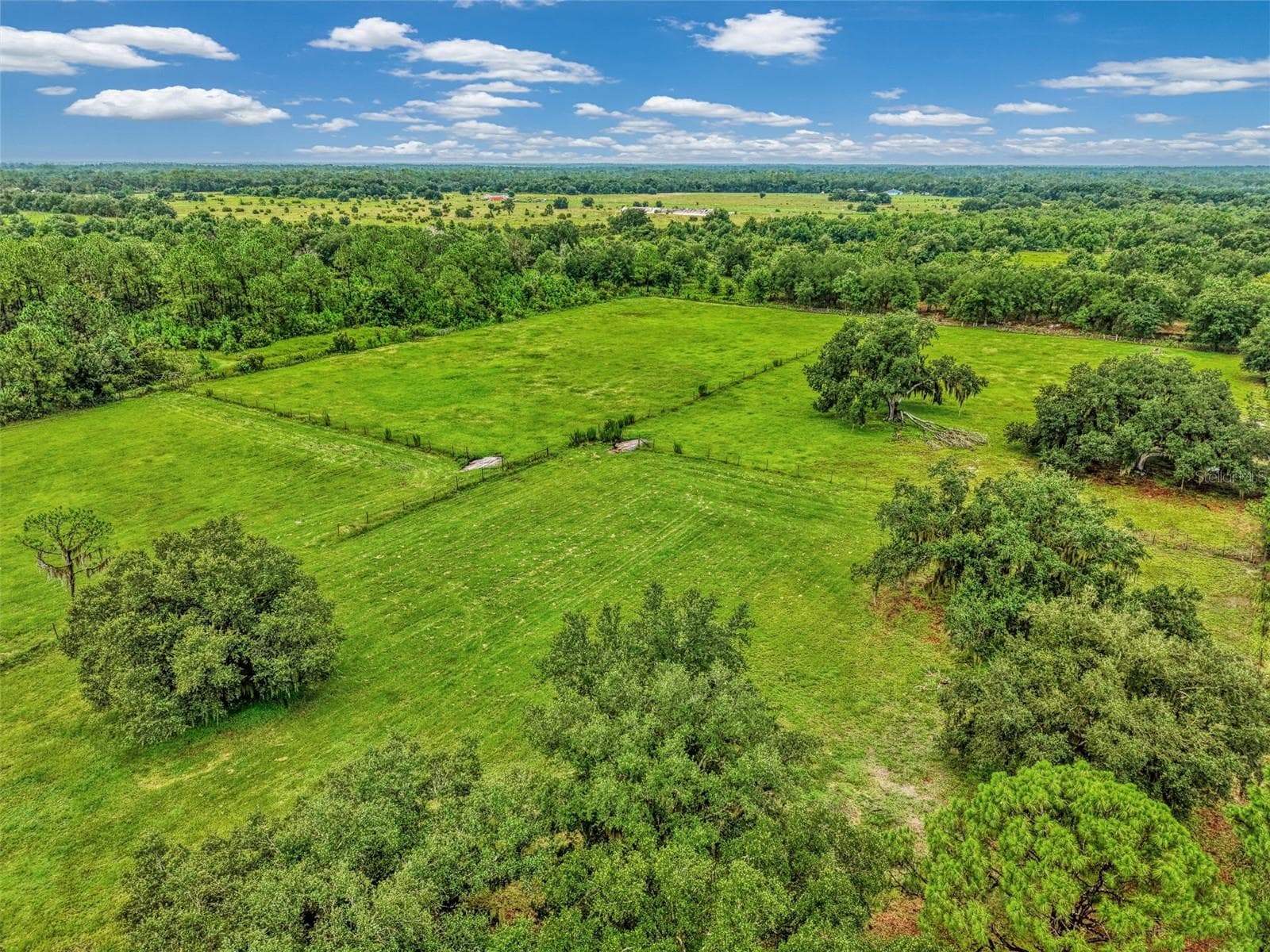 Southeast view of pastures - 4610 403RD ST E, MYAKKA CITY