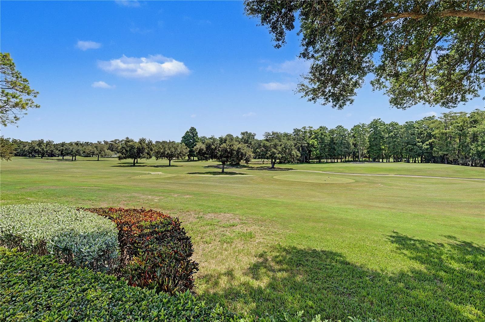 Single Family Residence at 1306 PLAYMOOR DR, PALM HARBOR, photo 71 of 100