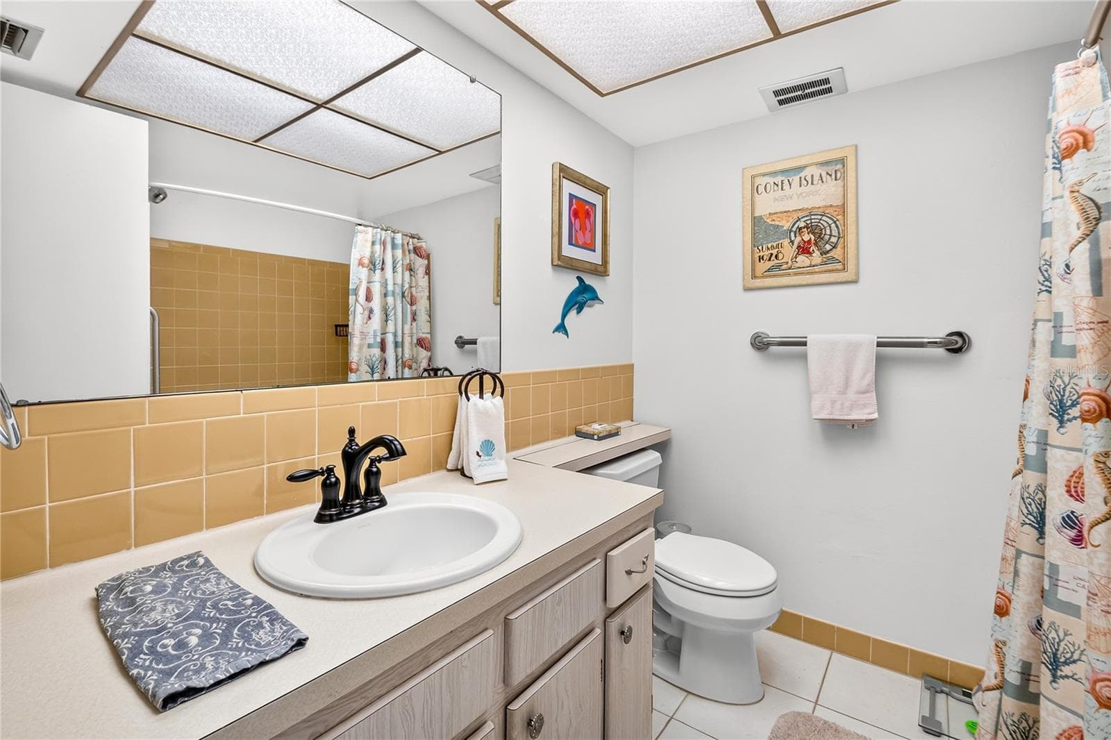 Hall bathroom - 5880 38TH AVE N #109, ST PETERSBURG