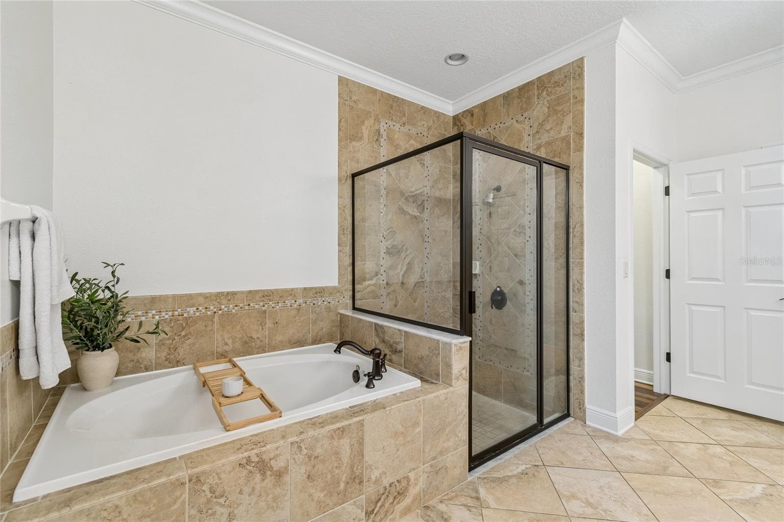 Single Family Residence at 1657 FEATHER GRASS LOOP, LUTZ, photo 33 of 91