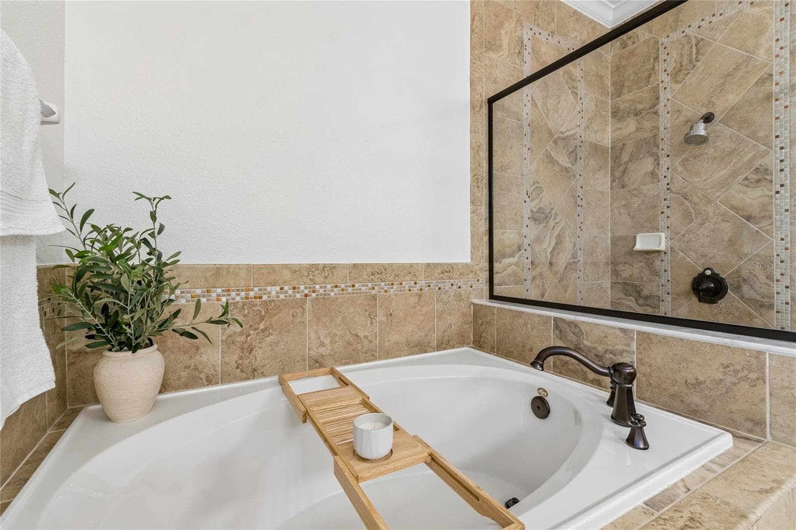 Single Family Residence at 1657 FEATHER GRASS LOOP, LUTZ, photo 34 of 91