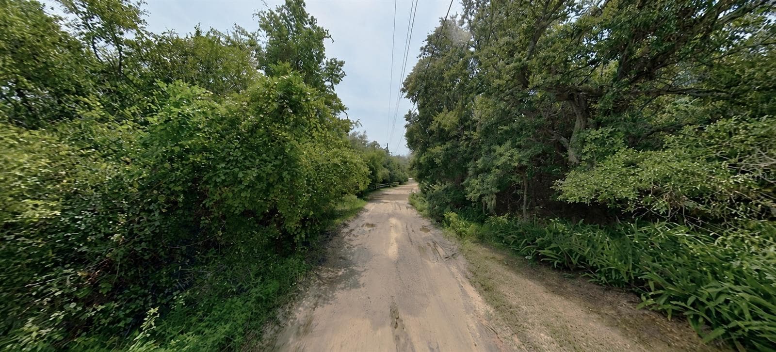 Land at PINE VALLEY DR, PAISLEY, photo 6 of 12