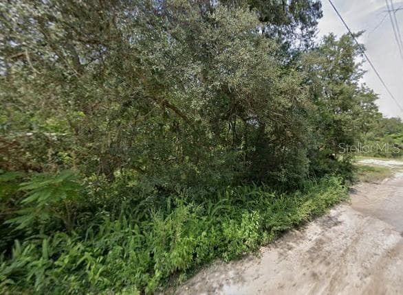 Land at PINE VALLEY DR, PAISLEY, photo 7 of 12