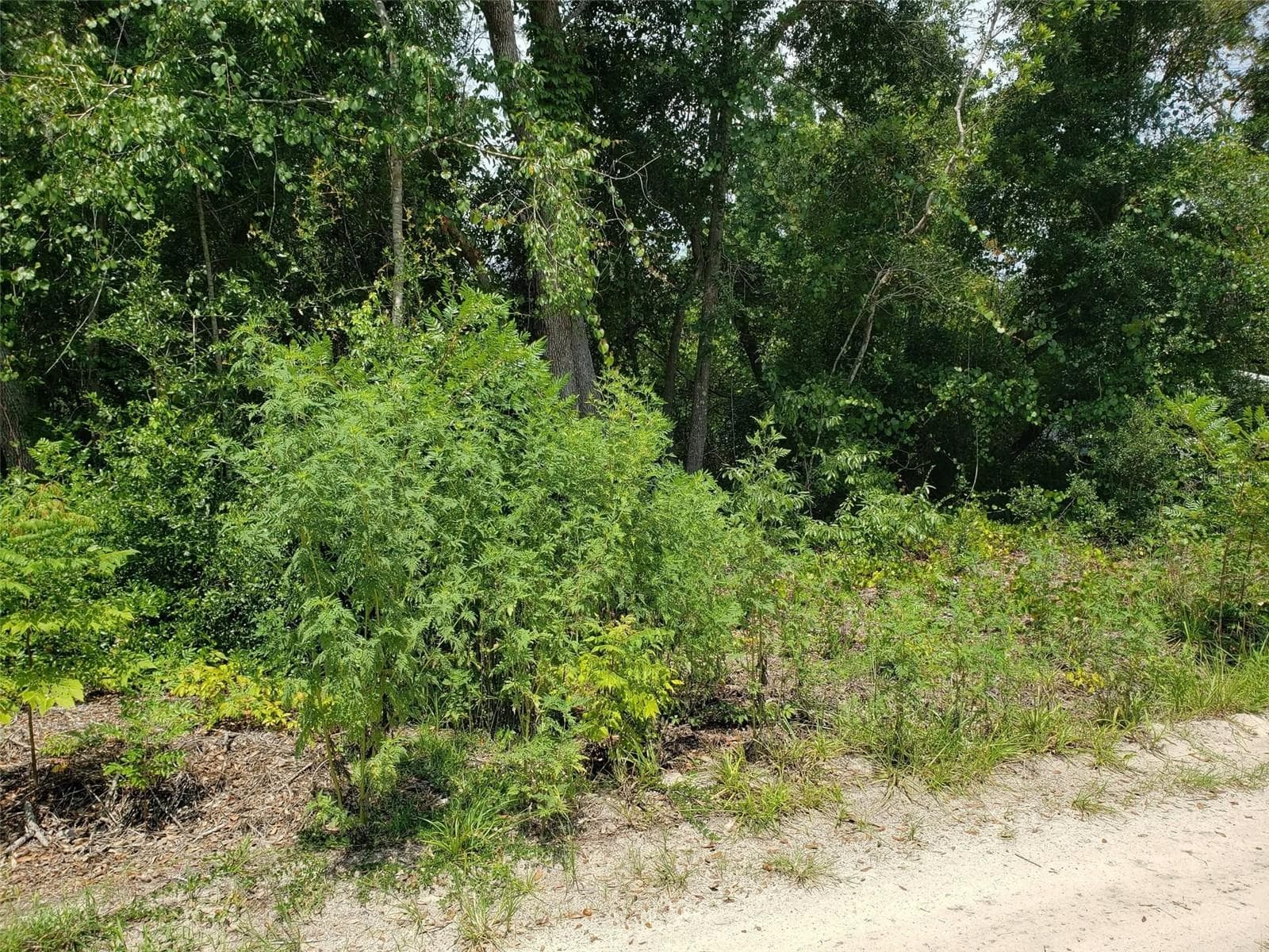 Land at PINE VALLEY DR, PAISLEY, photo 9 of 12