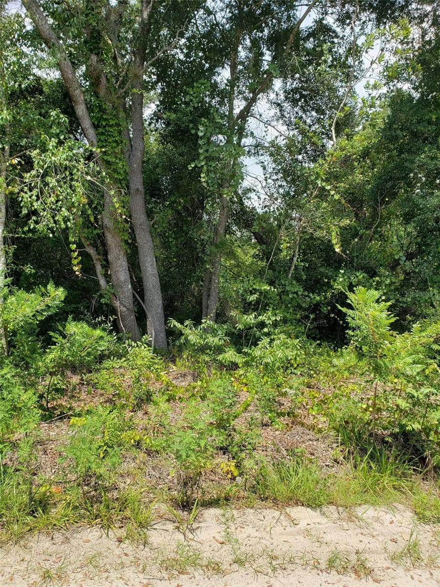 Land at PINE VALLEY DR, PAISLEY, photo 11 of 12