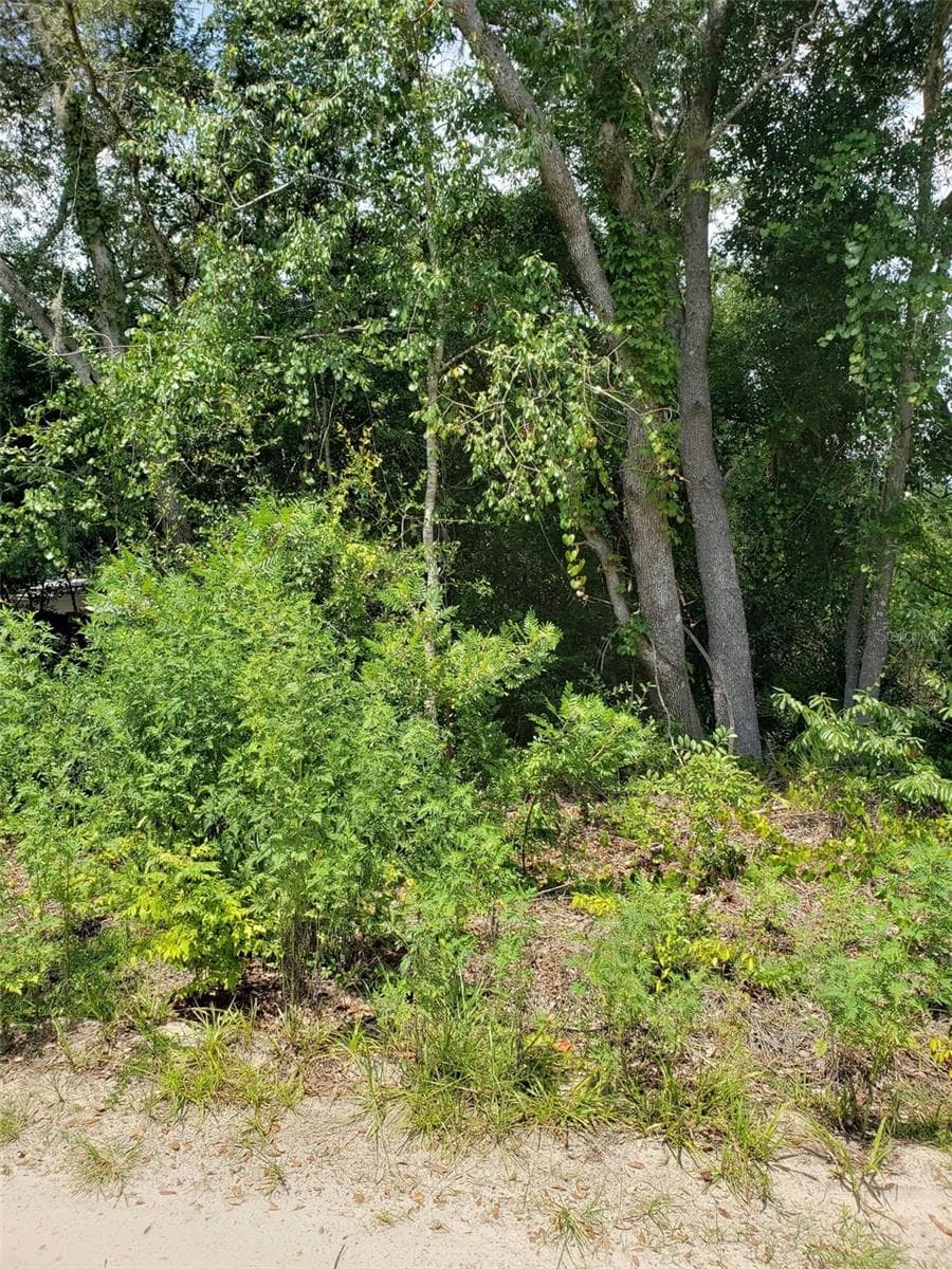 Land at PINE VALLEY DR, PAISLEY, photo 12 of 12