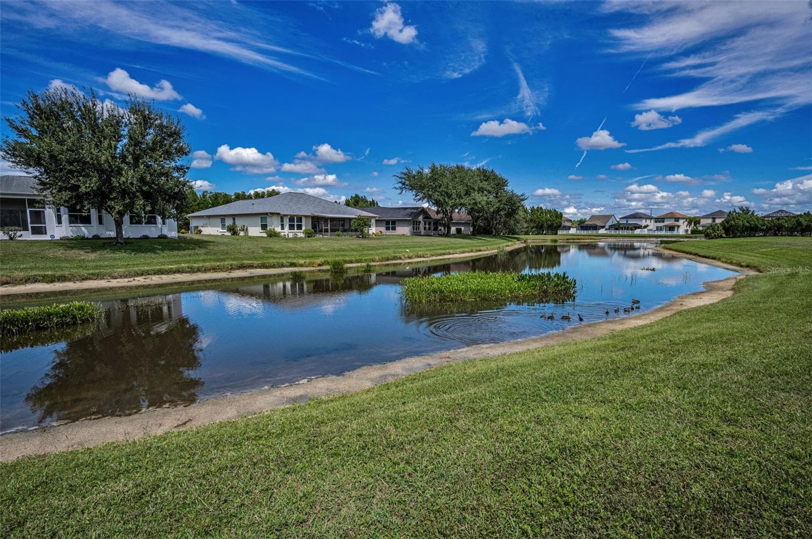 Single Family Residence at 12021 FERN TERRACE CT, TRINITY, photo 44 of 91